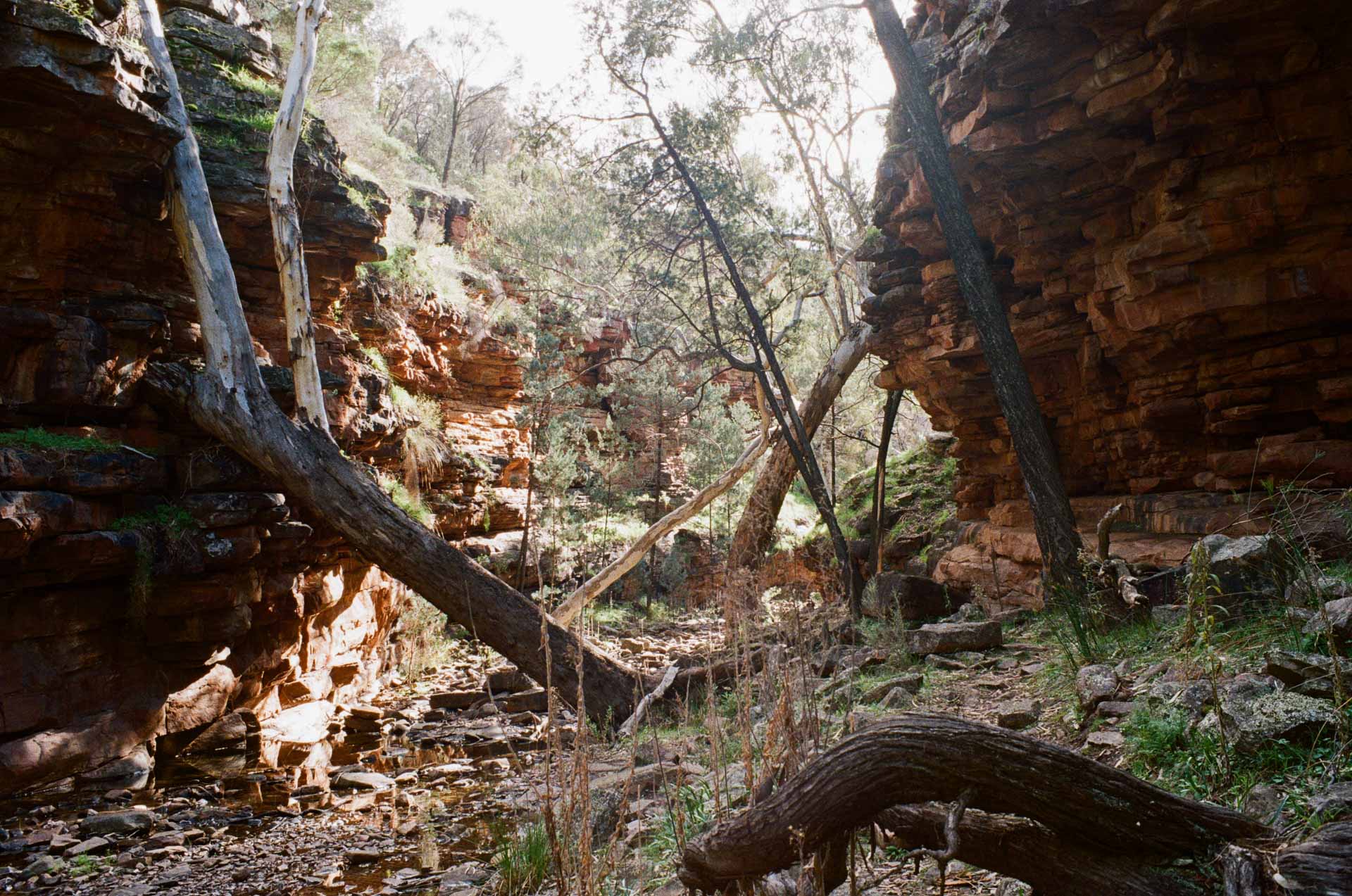 Longing for Loops at Mount Remarkable, a Multi-Day Hike, SA, sout australia hiking, alligator gorge