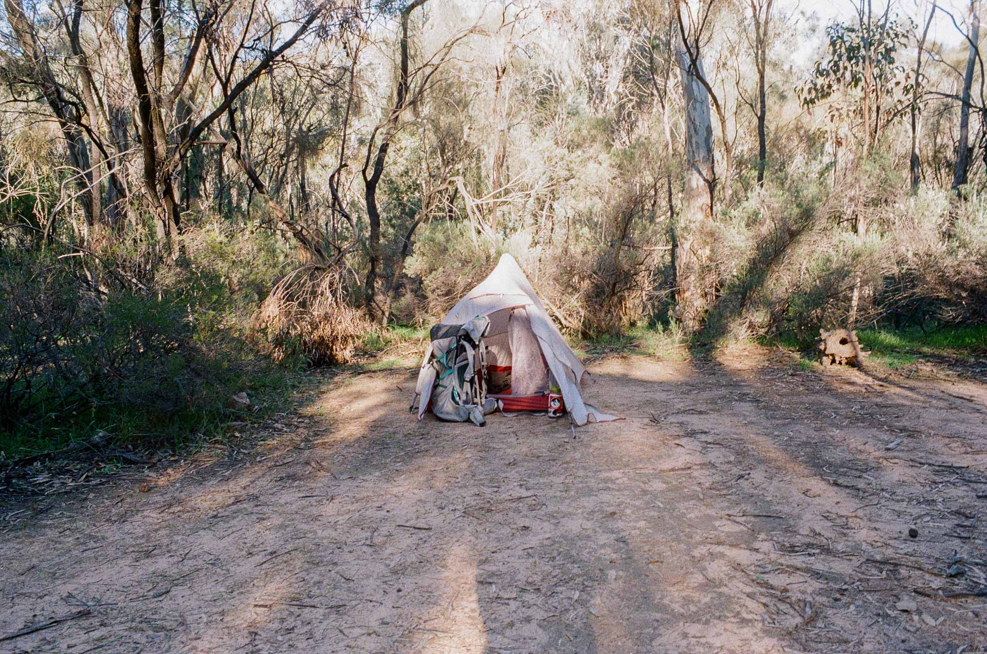 Longing for Loops at Mount Remarkable, a Multi-Day Hike, south australia, SA, south australian hiking, multi-day hike, tent, camping, tent on dusty ground with australian bush surrounds