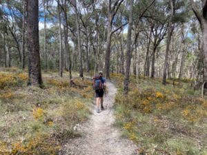 5 Ways I'm Preparing to Thru-Hike Across New Zealand, Reanna Clark, hiking, goldfields track, hiking poles