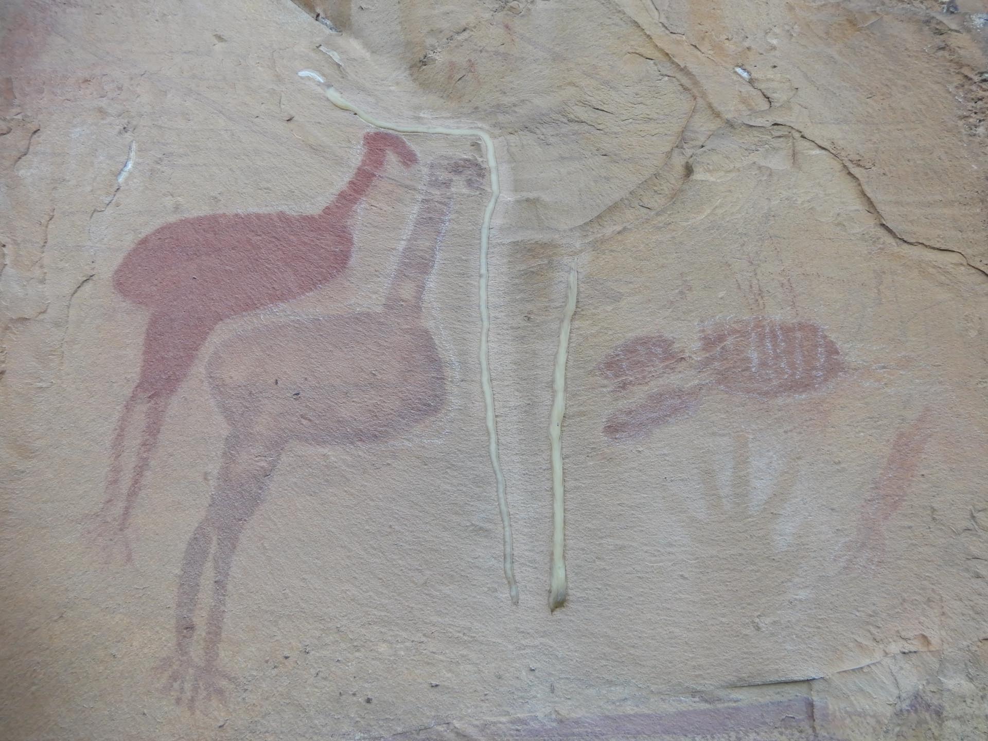 The ‘Big 3’ Hikes of the NT: How Do They Compare?, hiking, northern territory, jatbula trail, mountains, indigenous culture, multi-day hike, indigenous rock art seen on the jatbula trail