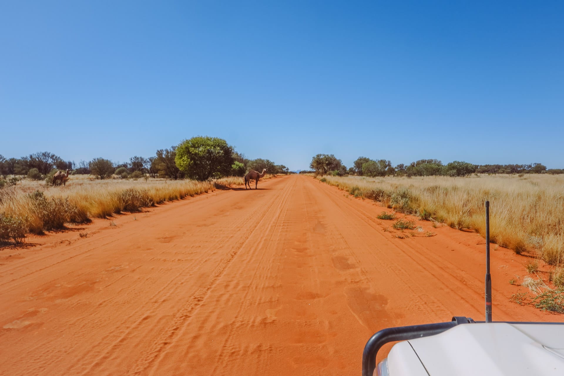 50 Lessons From a Road Trip Across Australia, journal, outback, roadtrip, 4WD driving on Australian desert road with camel in distance