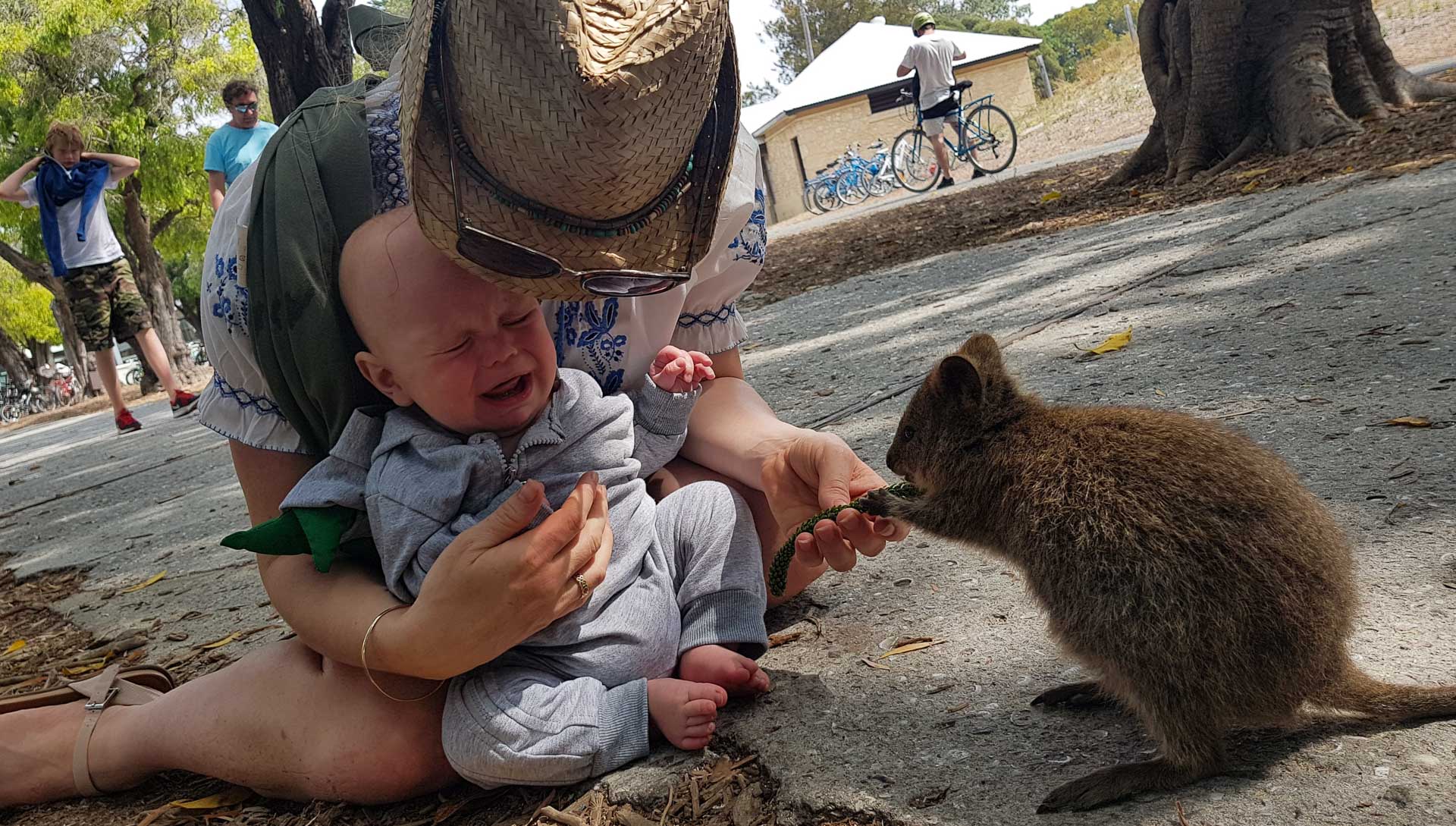 We Road Tripped From Sydney to Perth With a Three-Month-Old, roadtrip, van life, mother kneeling down and holding her baby while it cries at a quokka