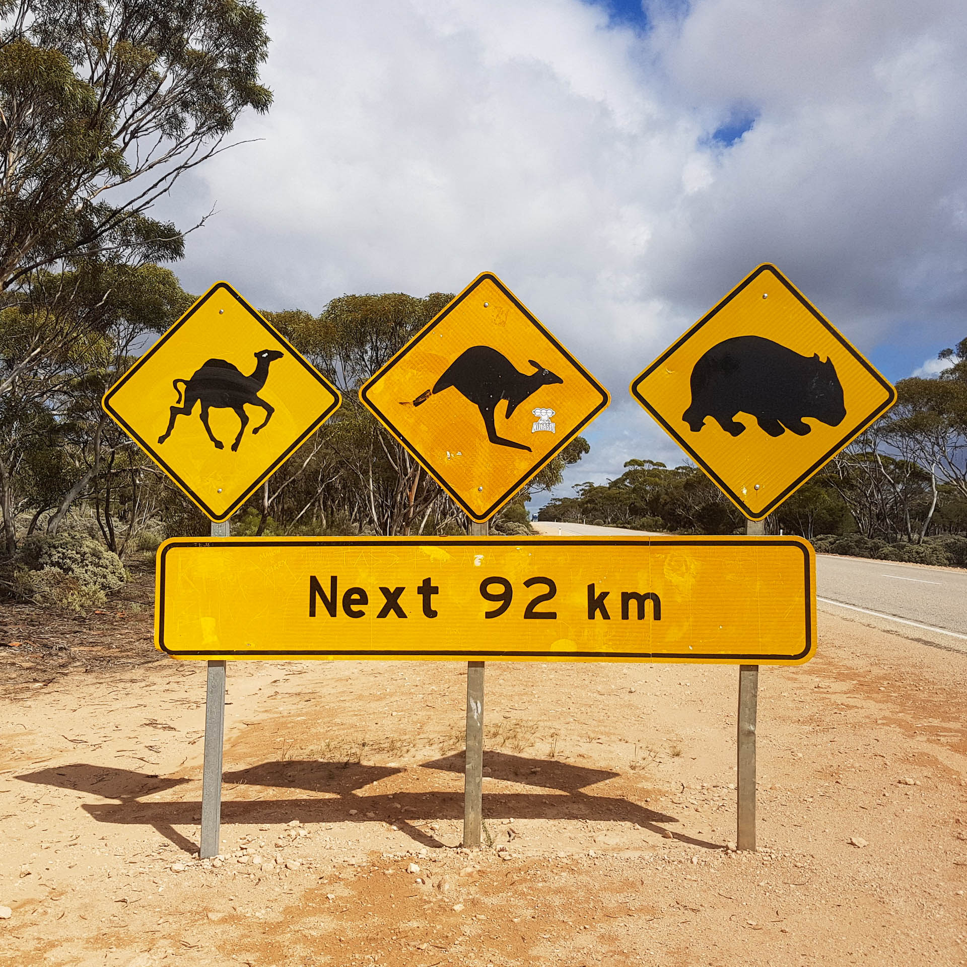 We Road Tripped From Sydney to Perth With a Three-Month-Old, roadtrip, van life, three road signs displaying a camel kangaroo and wombat