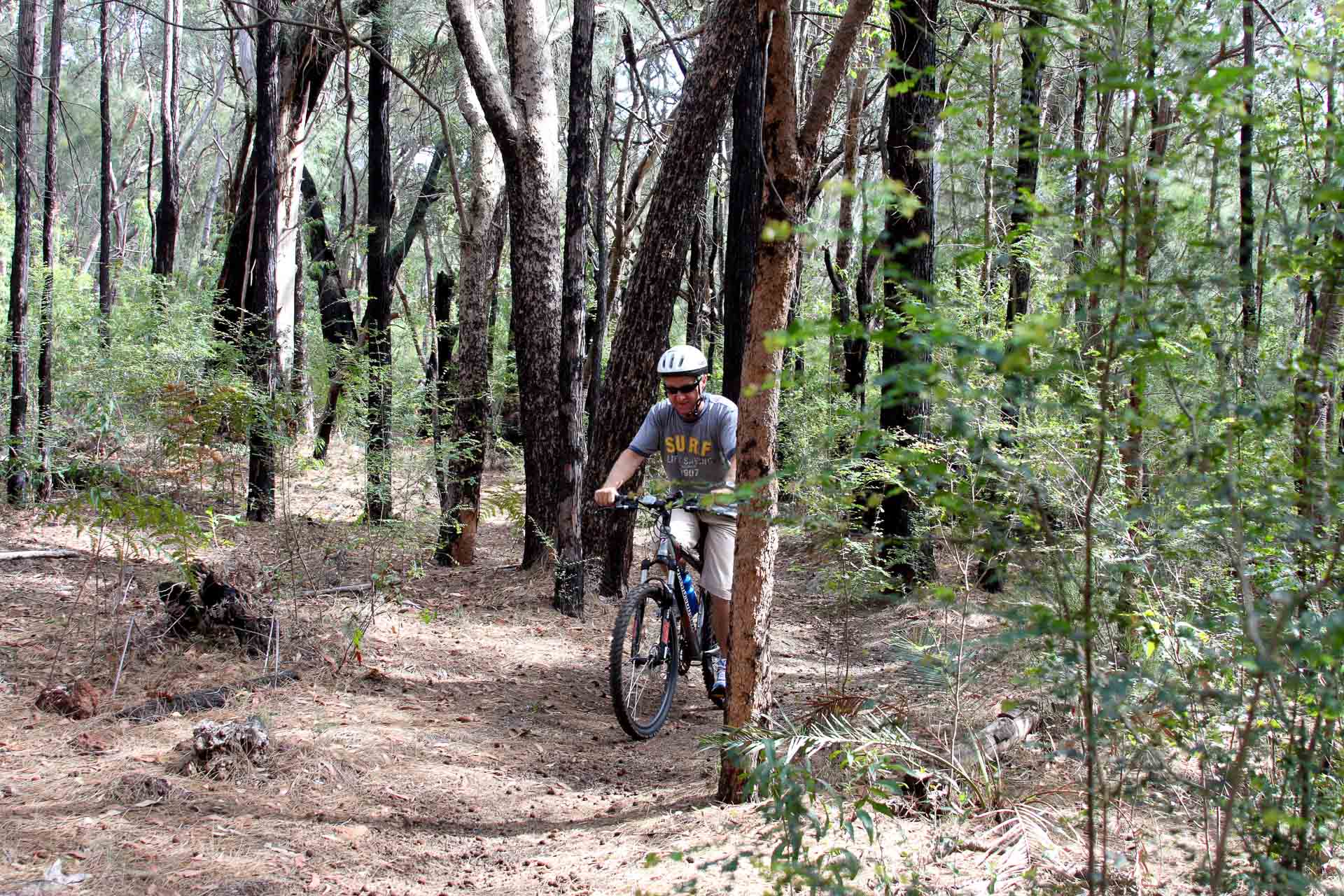 WA Has Announced the Top 150 Trails in the State, wa hikes, western australia, mountain biking trails, man mountain biking through a forest in wa