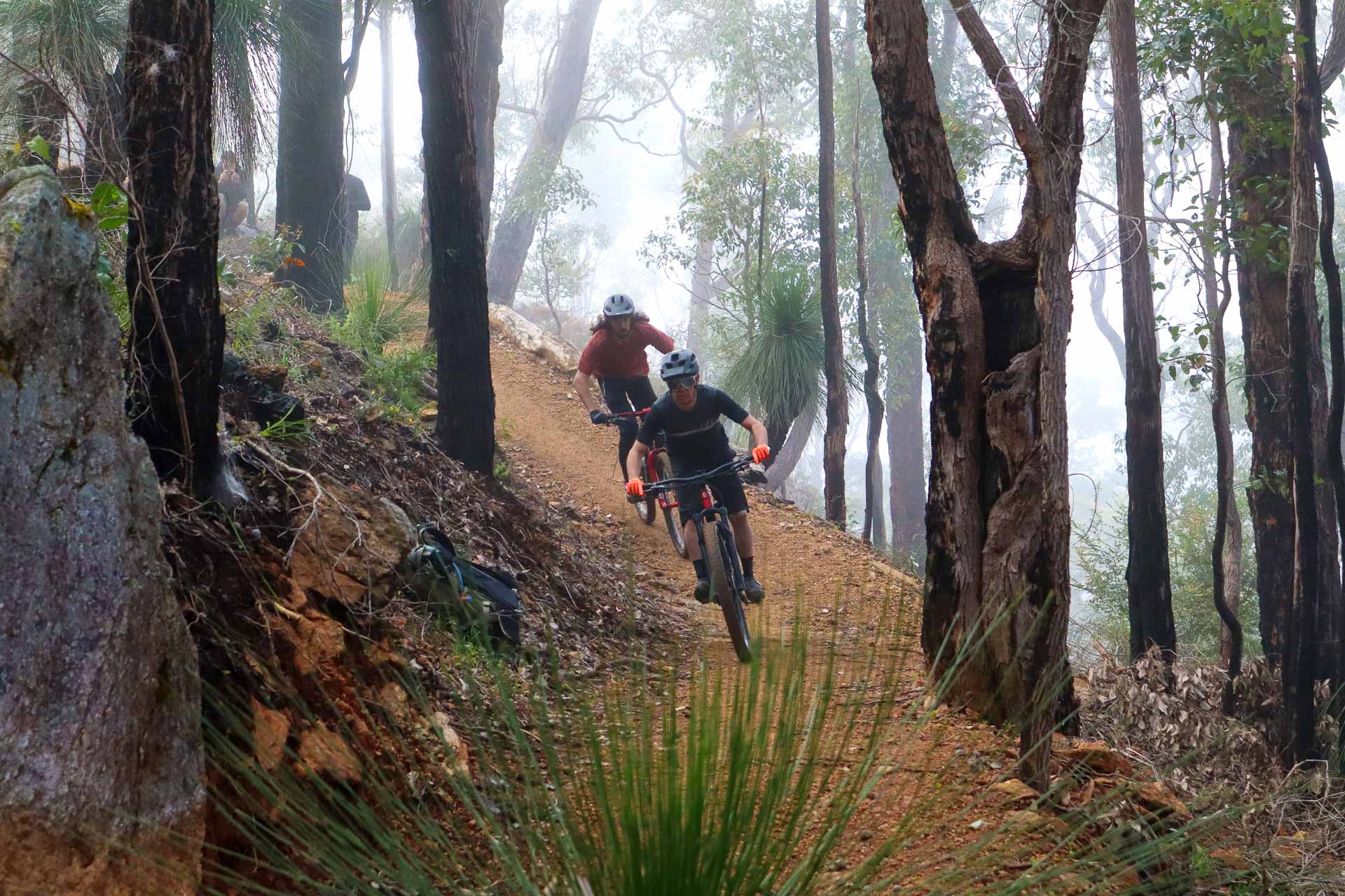 WA Has Announced the Top 150 Trails in the State, western australia, wa hikes, mountain biking, two people mountain biking through trails in collie, jane pelusey