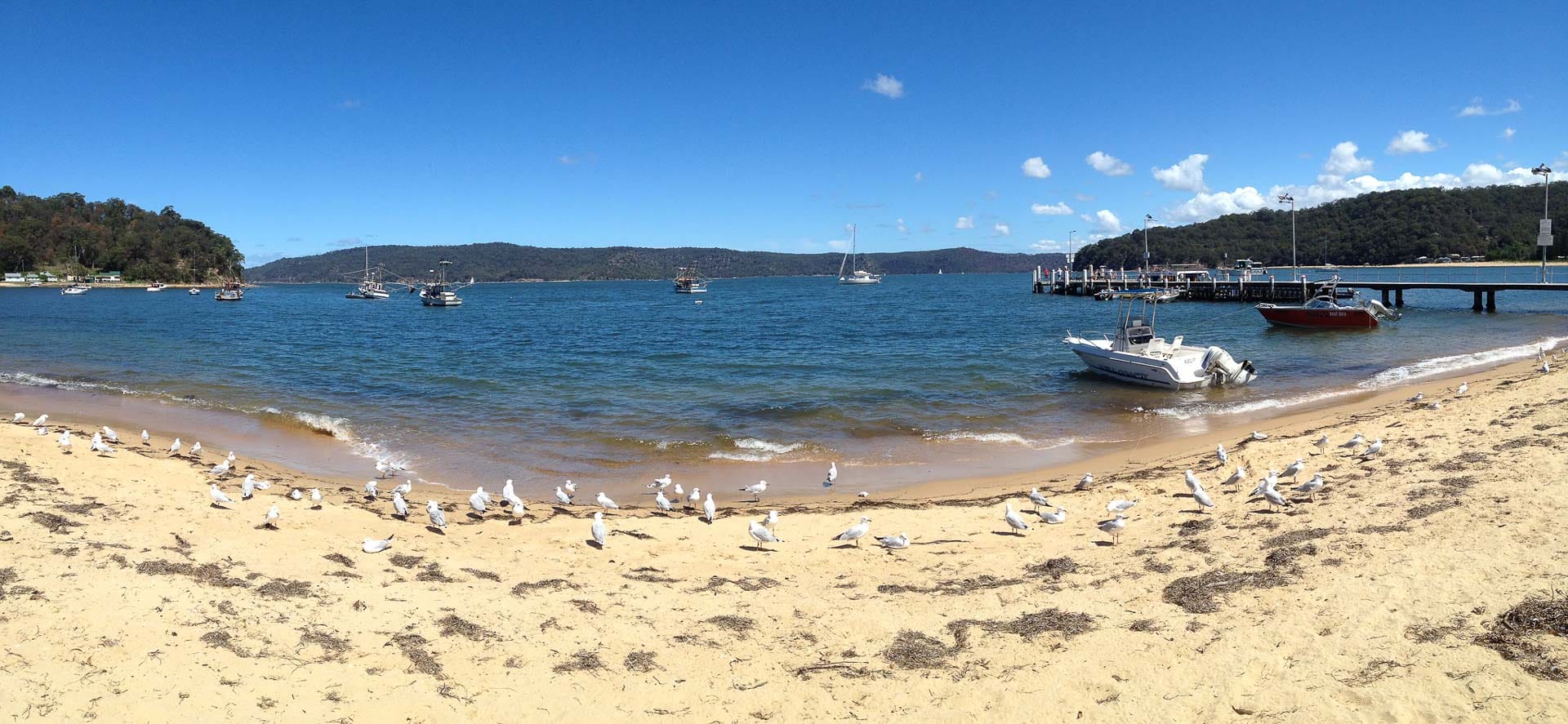 The 20 Best Beaches on the NSW Central Coast, Caitlin Robson, Photo Credit: @stephanridgway on Flickr. Patonga Beach