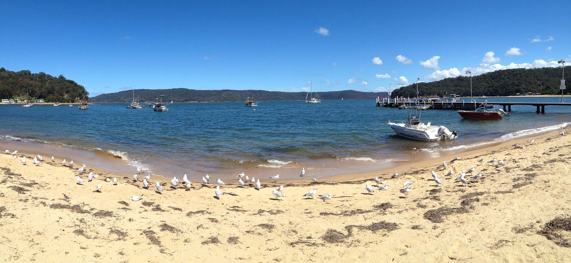  @stephanridgway on Flickr. Patonga Beach