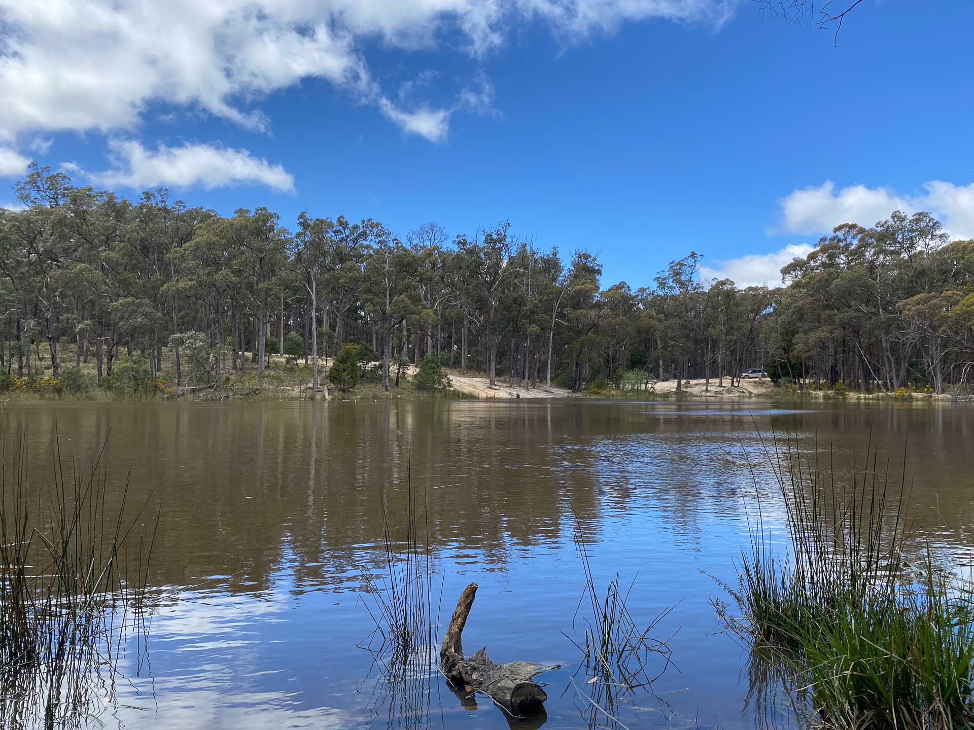 Hiking From Daylesford to Ballarat on the Goldfields Track, Reanna Clark, Victoria, lake, reflections