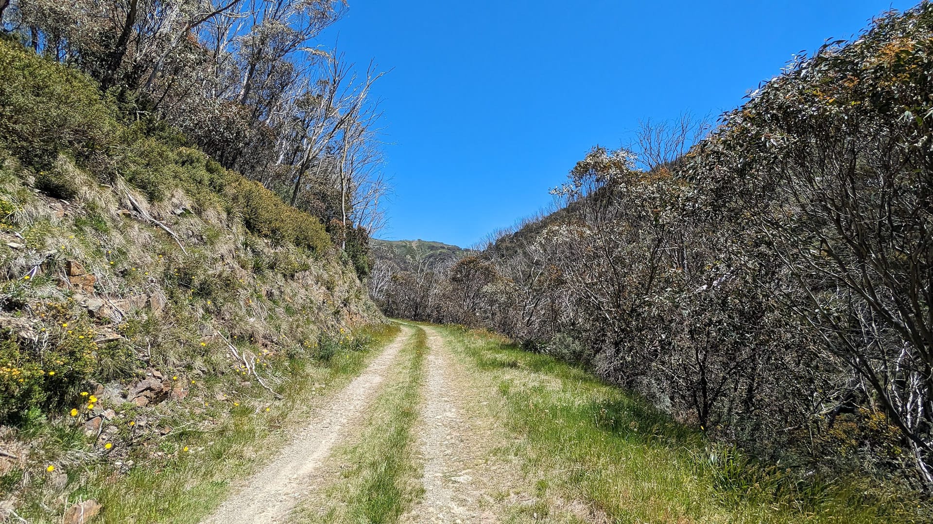 Davenport Access Track, Mt Hotham Huts Walk