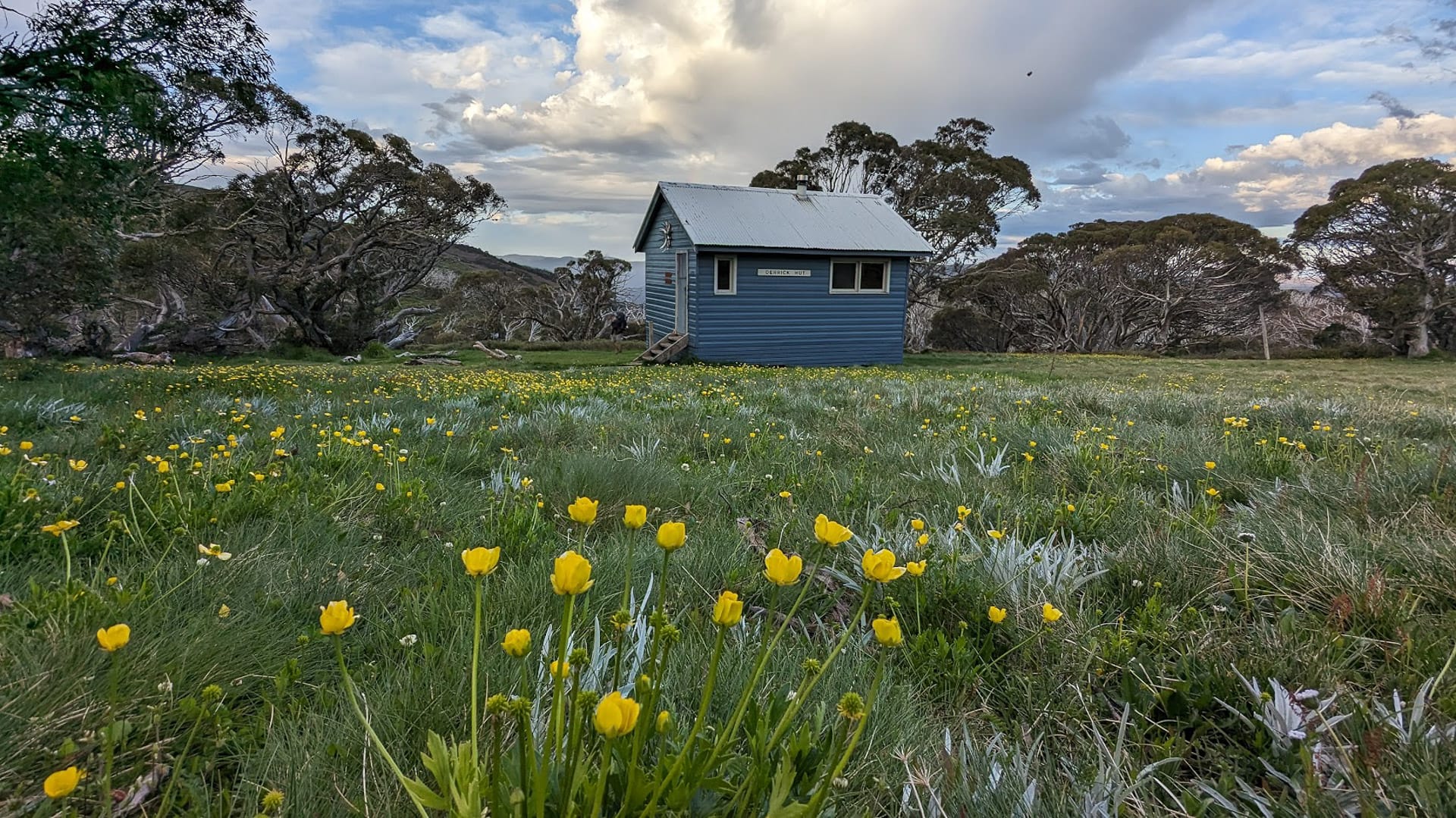 Derrick, Mt Hotham Huts Walk