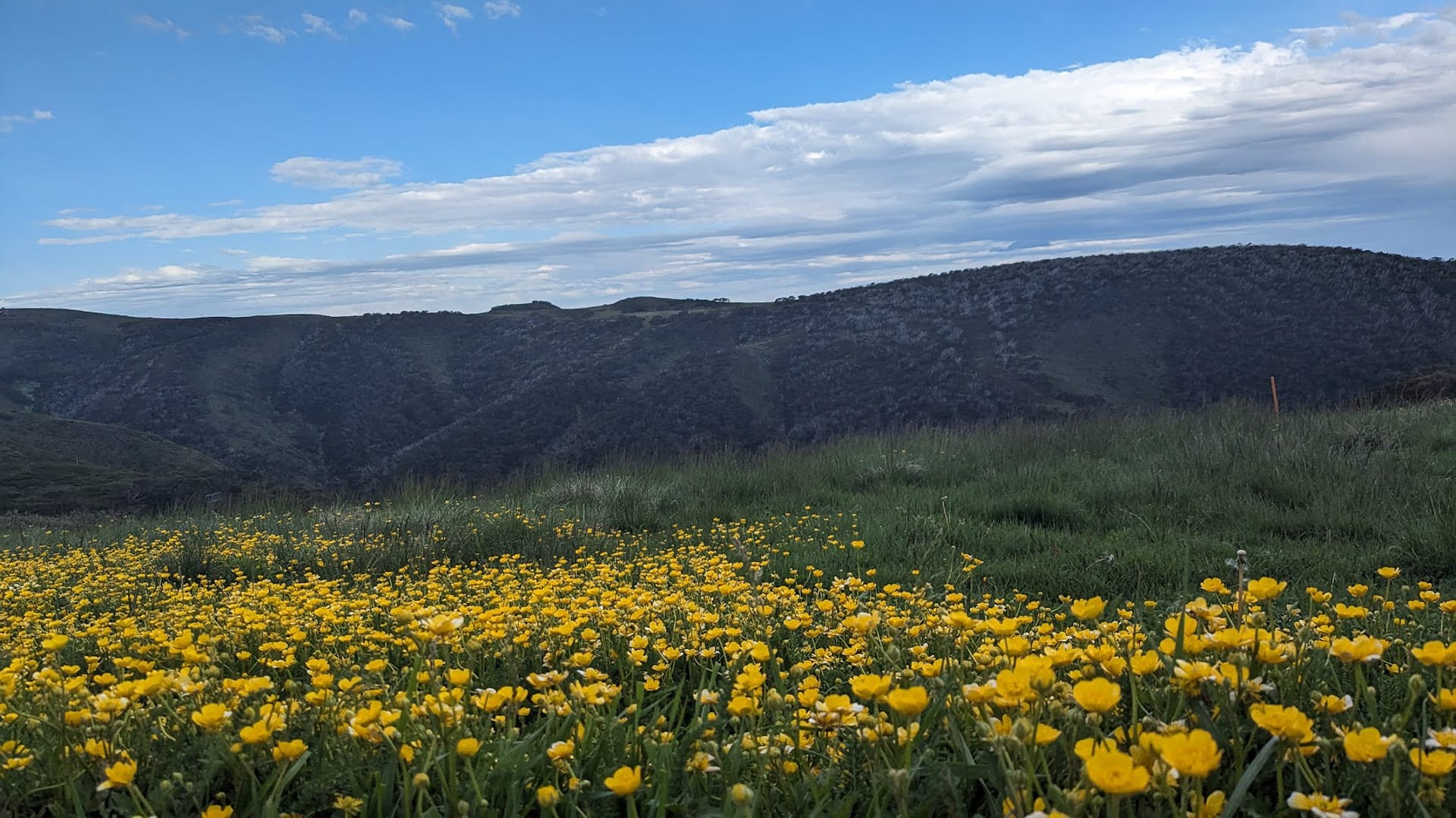 Mt Hotham Huts Walk
