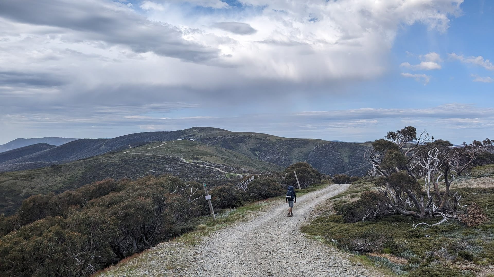 Mt Hotham Huts Walk 