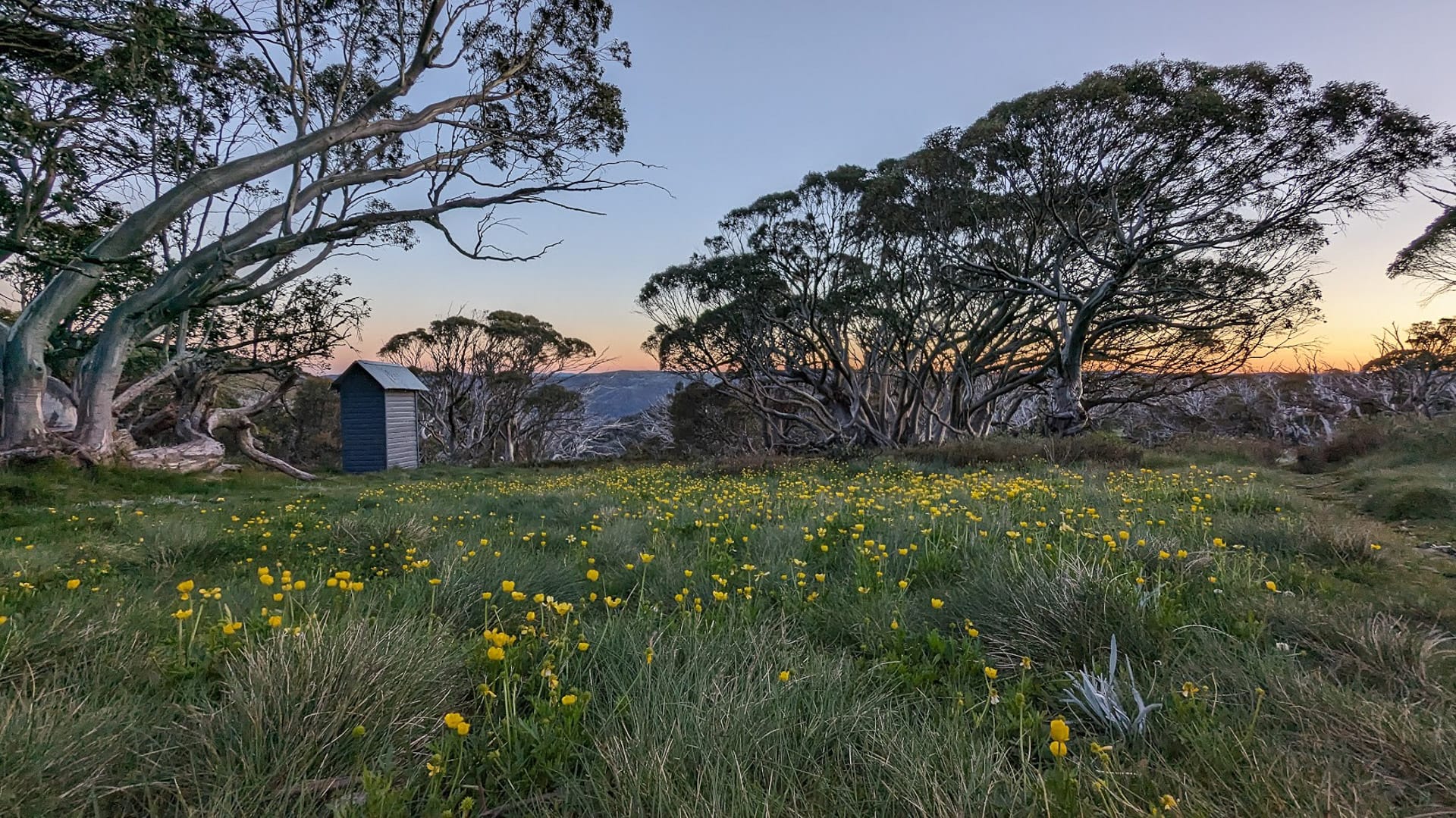 Derrick, Mt Hotham Huts Walk