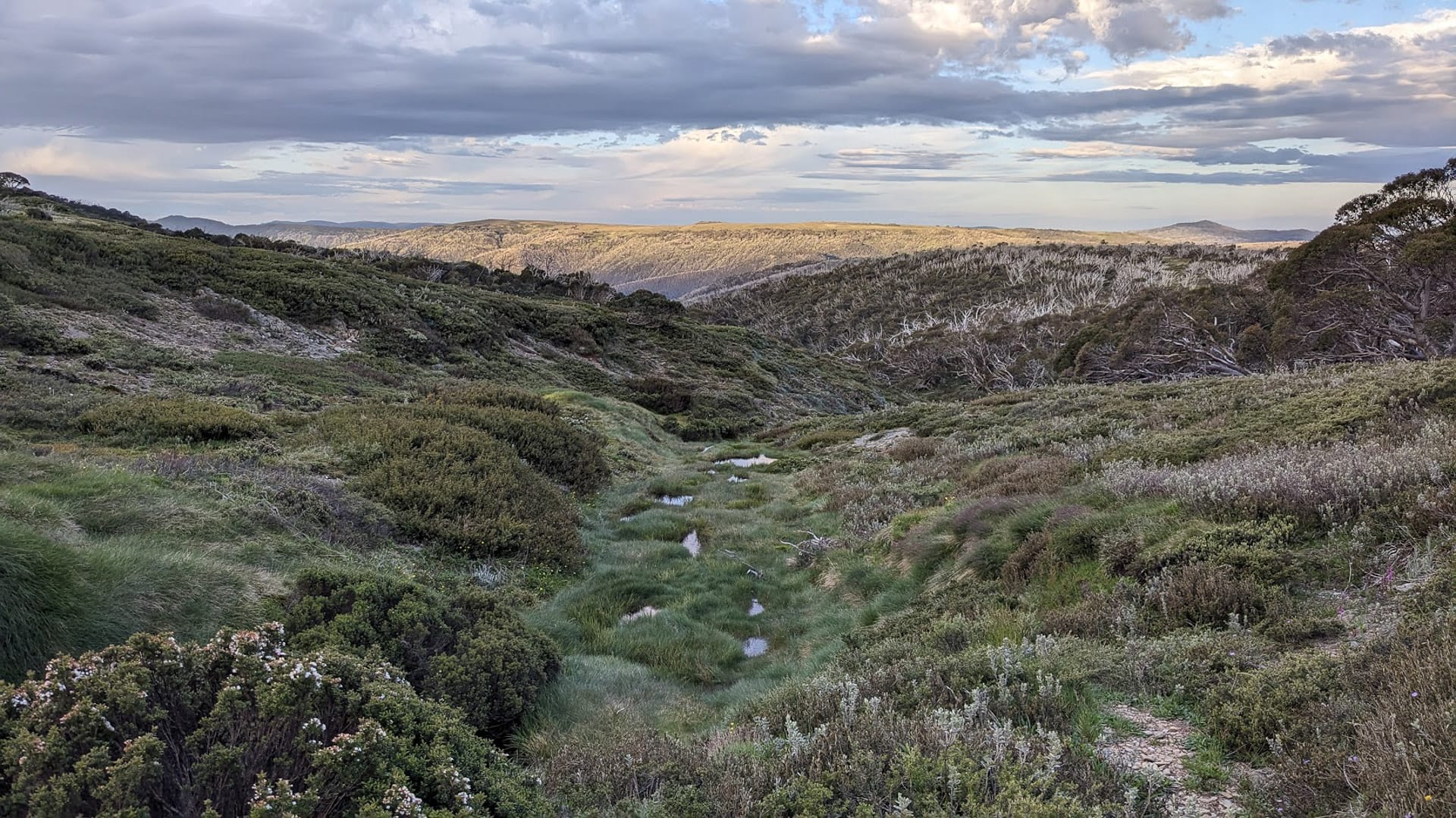 Soak near Derrick, Mt Hotham Huts Walk