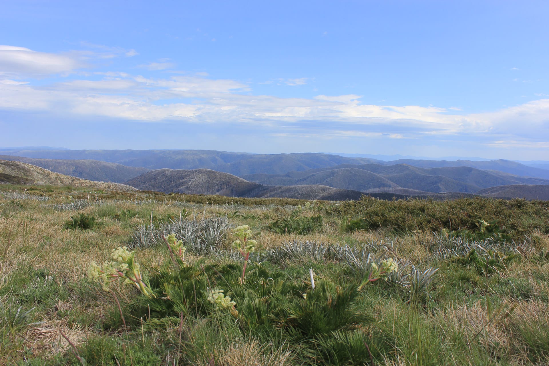 Views from Hotham Side Trip, Mt Hotham Huts Walk