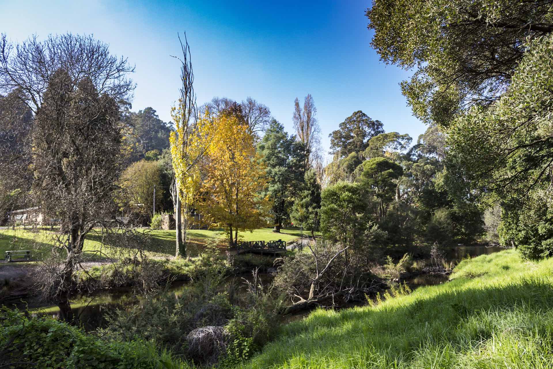 13 Best Walking Trails in Warburton, Victoria, Photo credit: @StephenPenton on Flickr, Warburton township, Yarra River, Yarra Valley