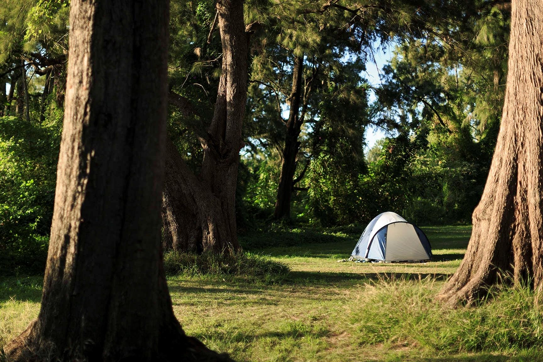 Best Caravan Parks Sydney, Ingenia Holidays Nepean River