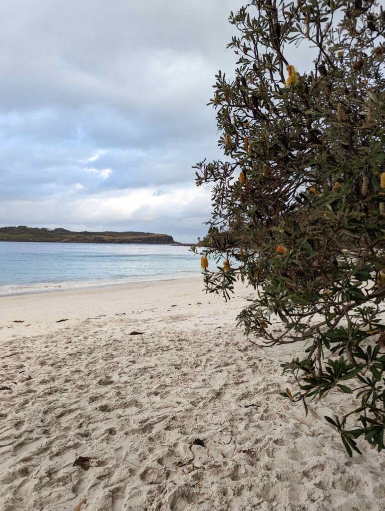 This Guy is Summiting the Highest Point in All 16 of Australia's States & Territories, william crompton, hiking, australian mountains, beach at jervis bay