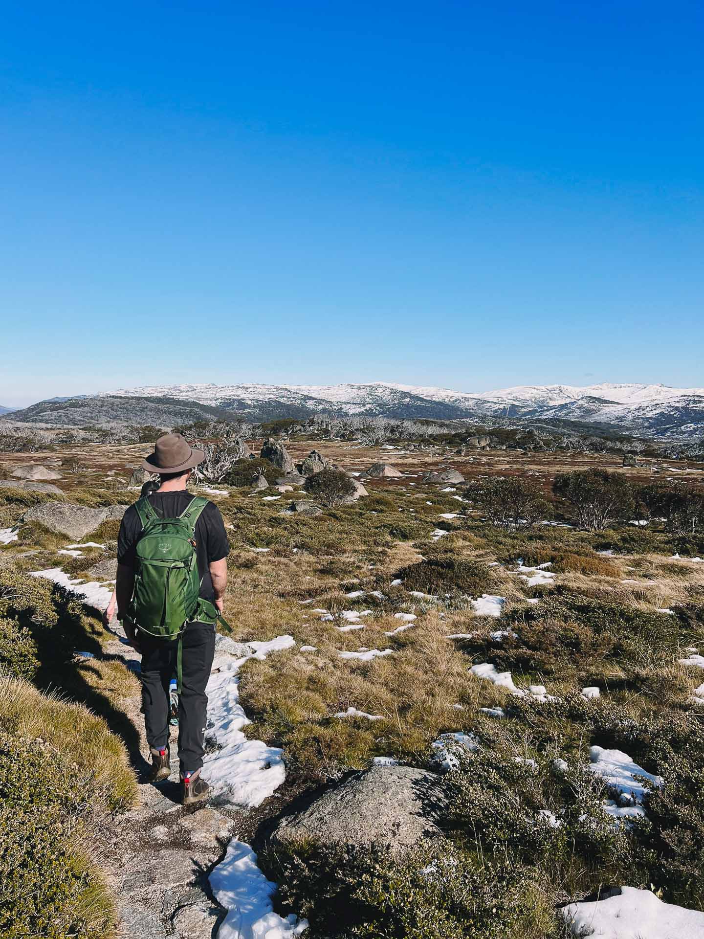 Charlotte Pass to Perisher Walk – Hiking the Newest Stage of the Snowies Alpine Walk in Kosciuszko National Park, nsw hikes, Photo by Kate Donald, alpine, back country, day hike, hiker with green backpack staring at snowcapped mountains at kosciuszko