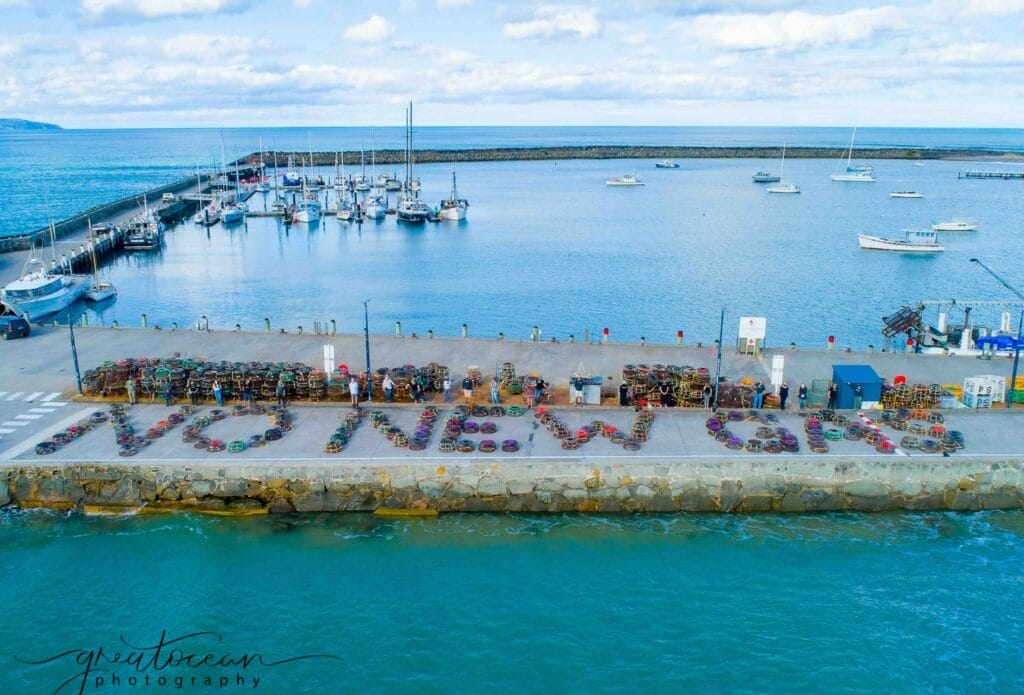 The Great Ocean Rescue Tour is raising awareness of seismic testing in Victoria