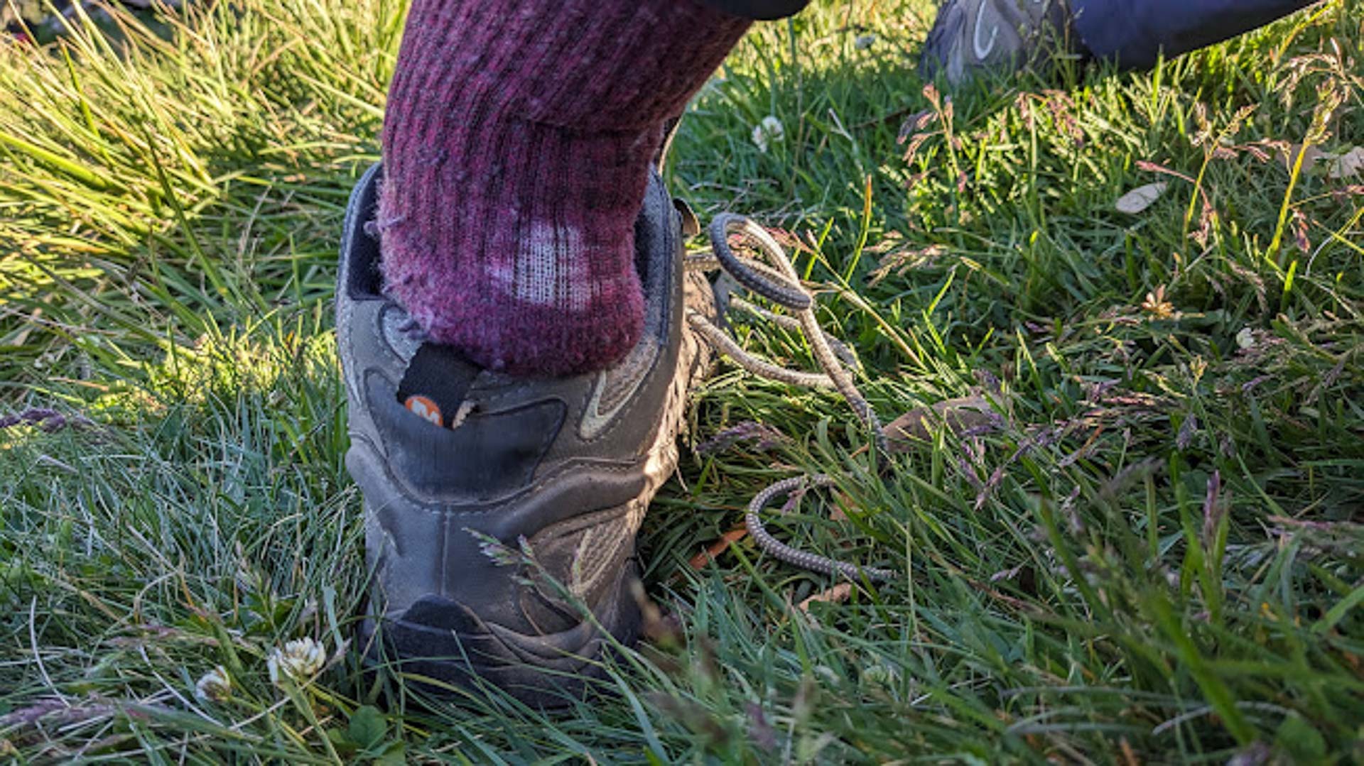 Hikers Guide to Blister Treatment & Prevention, Photo by Jess Nehme, feet, Injinji Socks