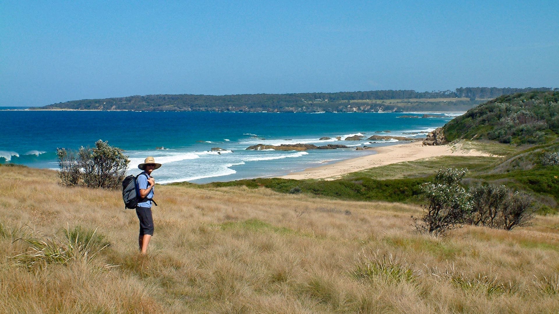 How My Wife & I Spent 20 Years Creating the Great South Coast Walk in NSW, Photo by David Briese, south coast NSW, beach hiking, multi-day hike, coastline, hikers on a grassy headland