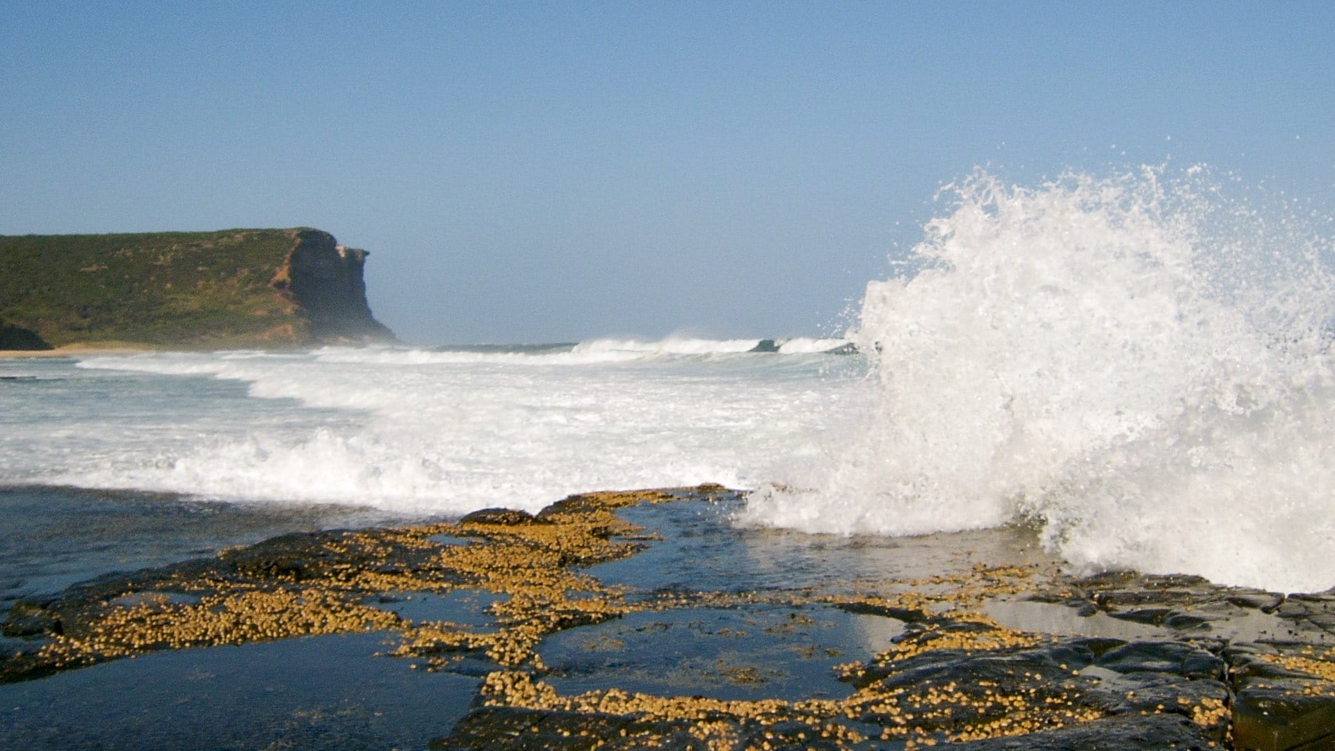 How My Wife & I Spent 20 Years Creating the Great South Coast Walk in NSW, Photo by David Briese, south coast NSW, beach hiking, multi-day hike, coastline, waves hitting the shoreline