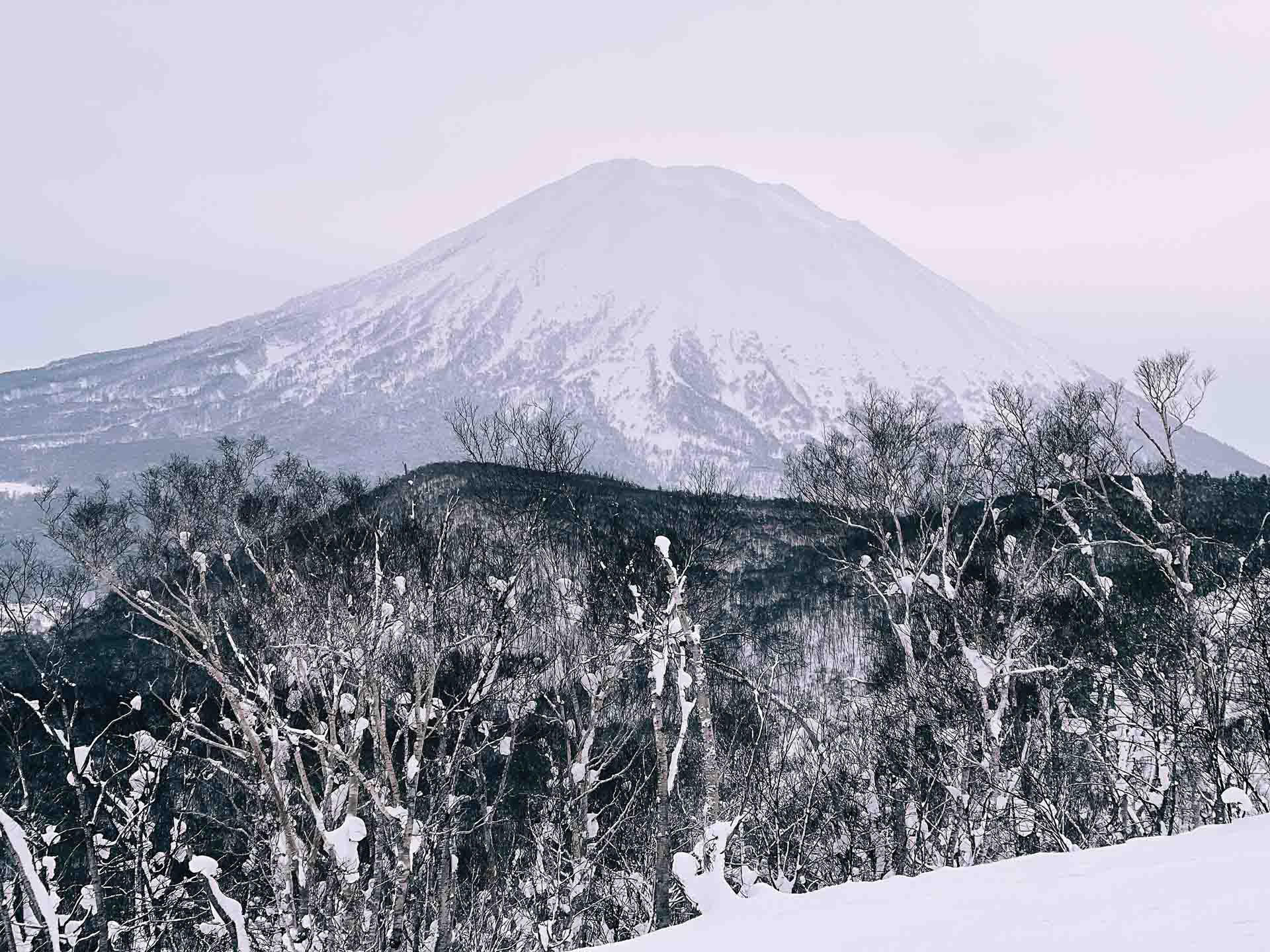 Skiing in Japan: Why Niseko Is Best For Beginners, Photo by Ally Burnie, skiing, japan, niseko, skiing guide, mount yotei