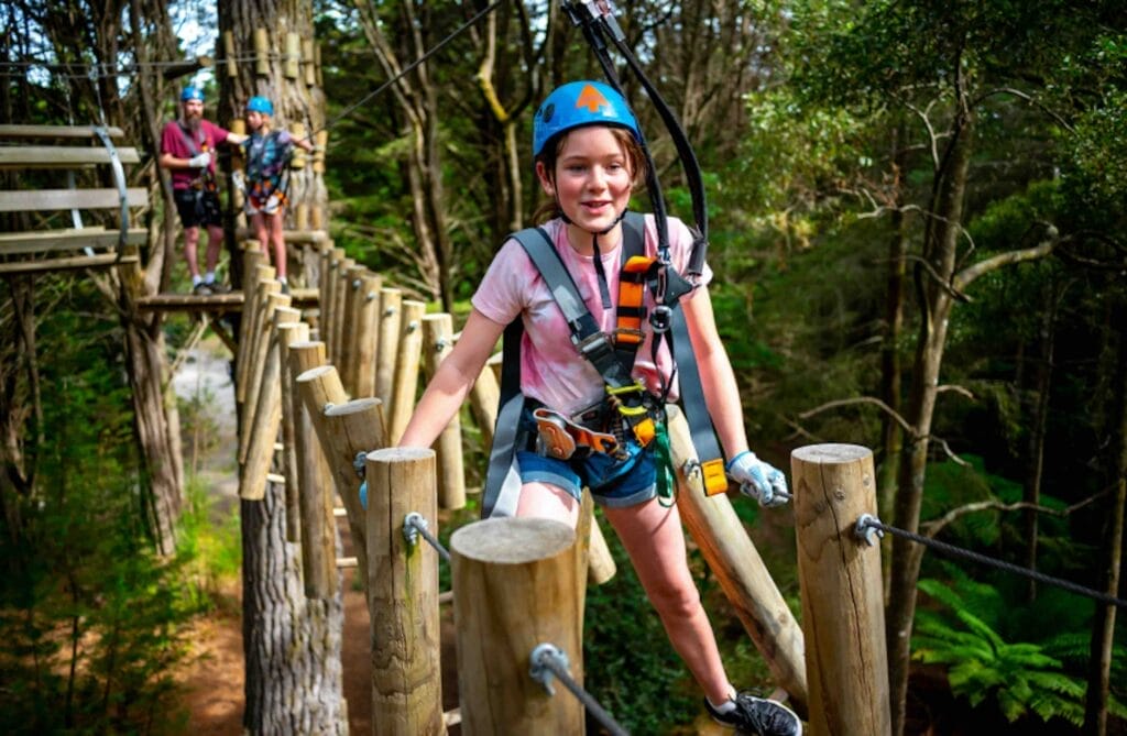 Treetops Adventure