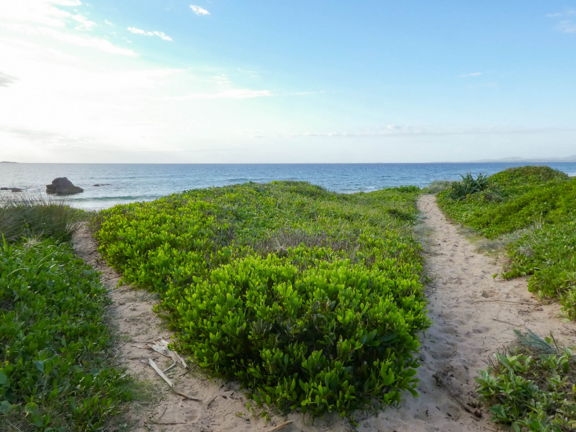 Why the Solitary Islands Coastal Walk is the Perfect Gateway into Multi-Day Hiking, Vanessa Eagles, NSW, Beach, hiking, red rock, grassy trail