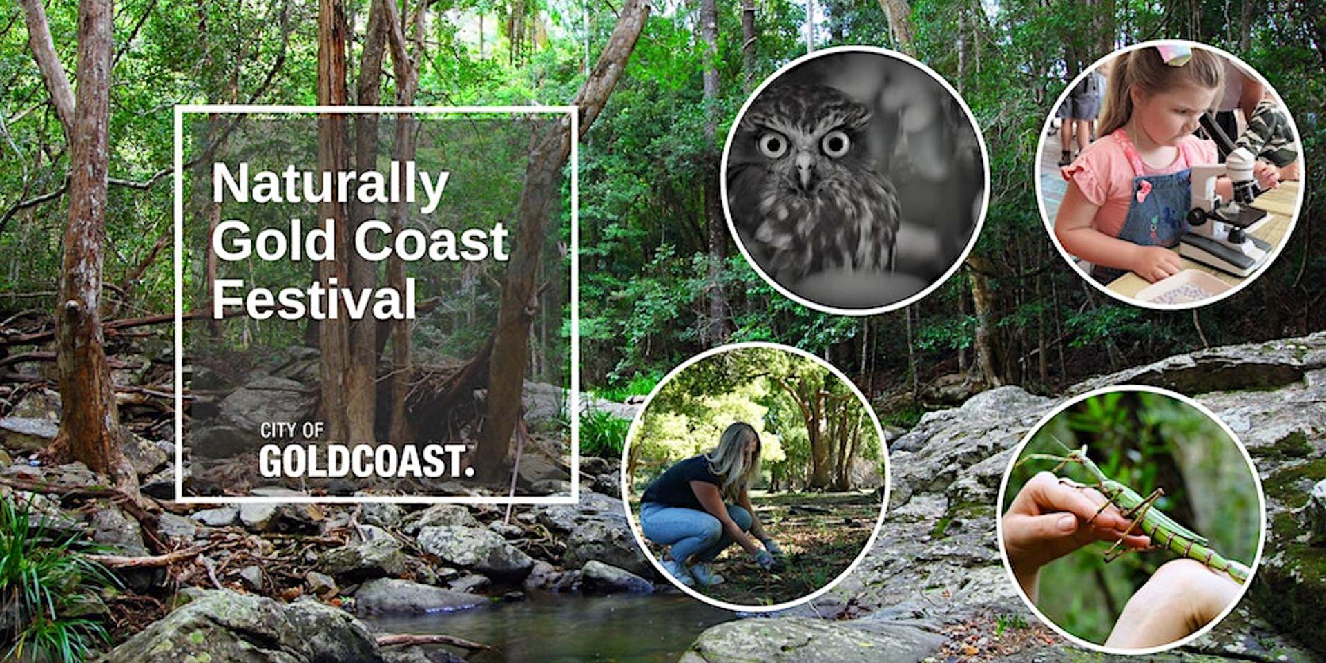 NaturallyGC Environment Festival, event