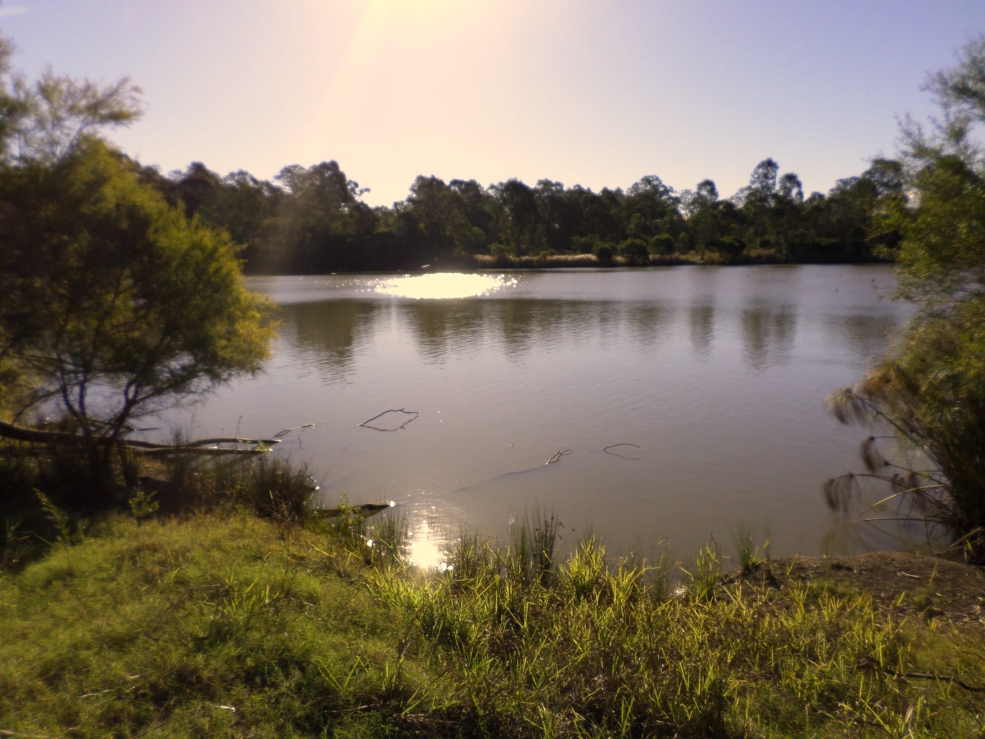 Best fishing spots brisbane, Photo by Sharmaine De Bordeaux on Flickr, Willawong Lagoon on Oxley Creek, Brisbane, Queensland, lake, poor lighting