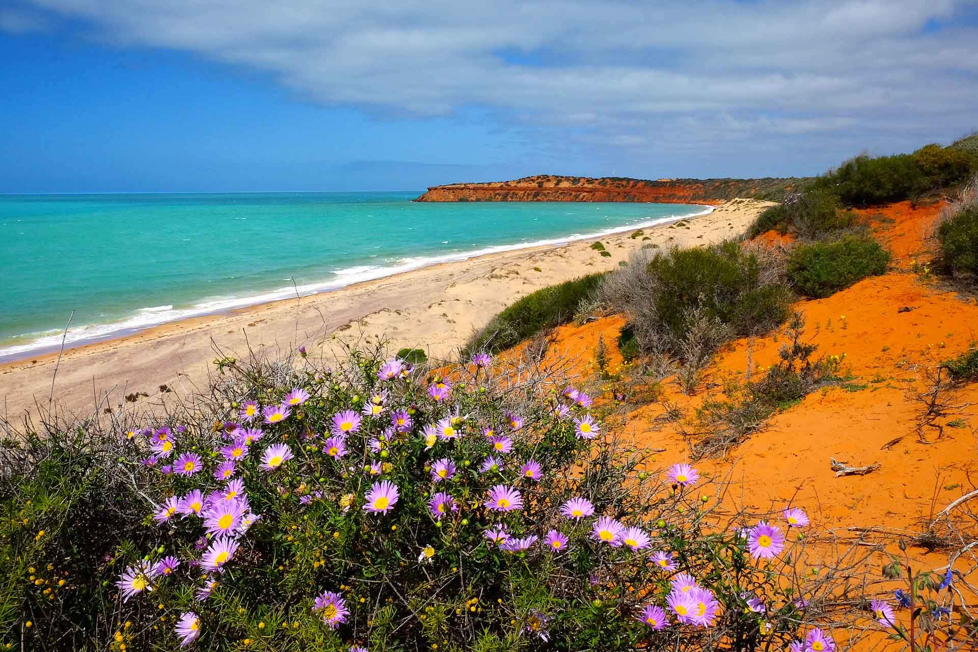 Shark Bay World Heritage Area Guide | WA - We Are Explorers