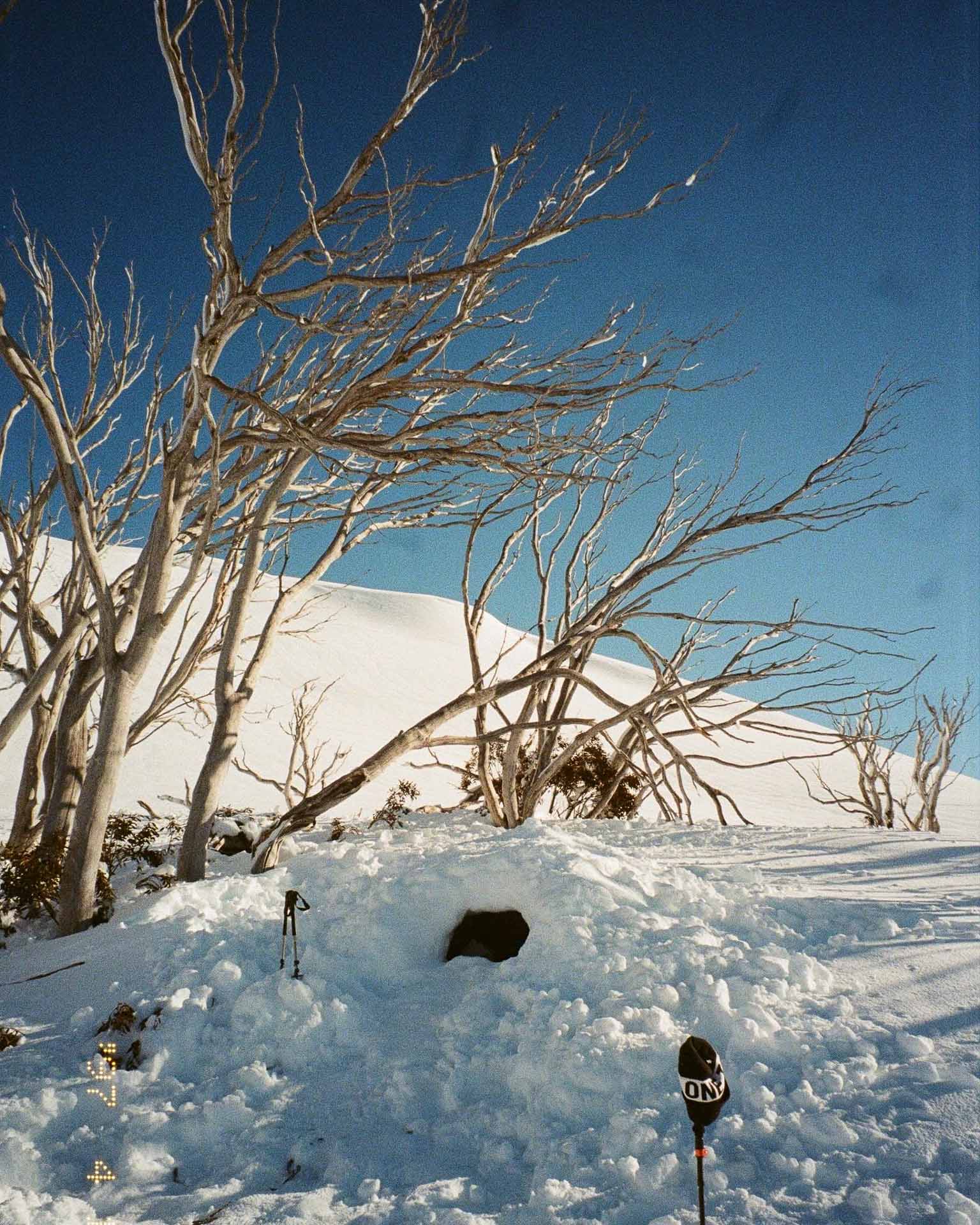 Snow Cave Day