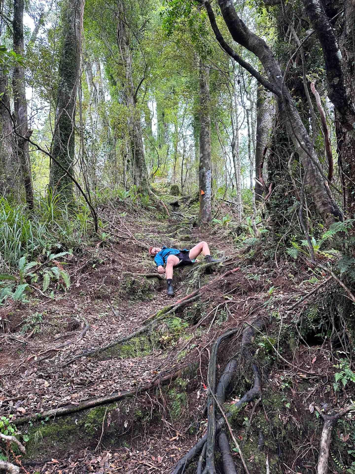 Mount Fox Route – New Zealand’s Fox Glacier’s Greatest Scramble, Photo by Connor Fisher, nz hikes, fox glacier, day hike, tired hiker lying down on the mount fox route