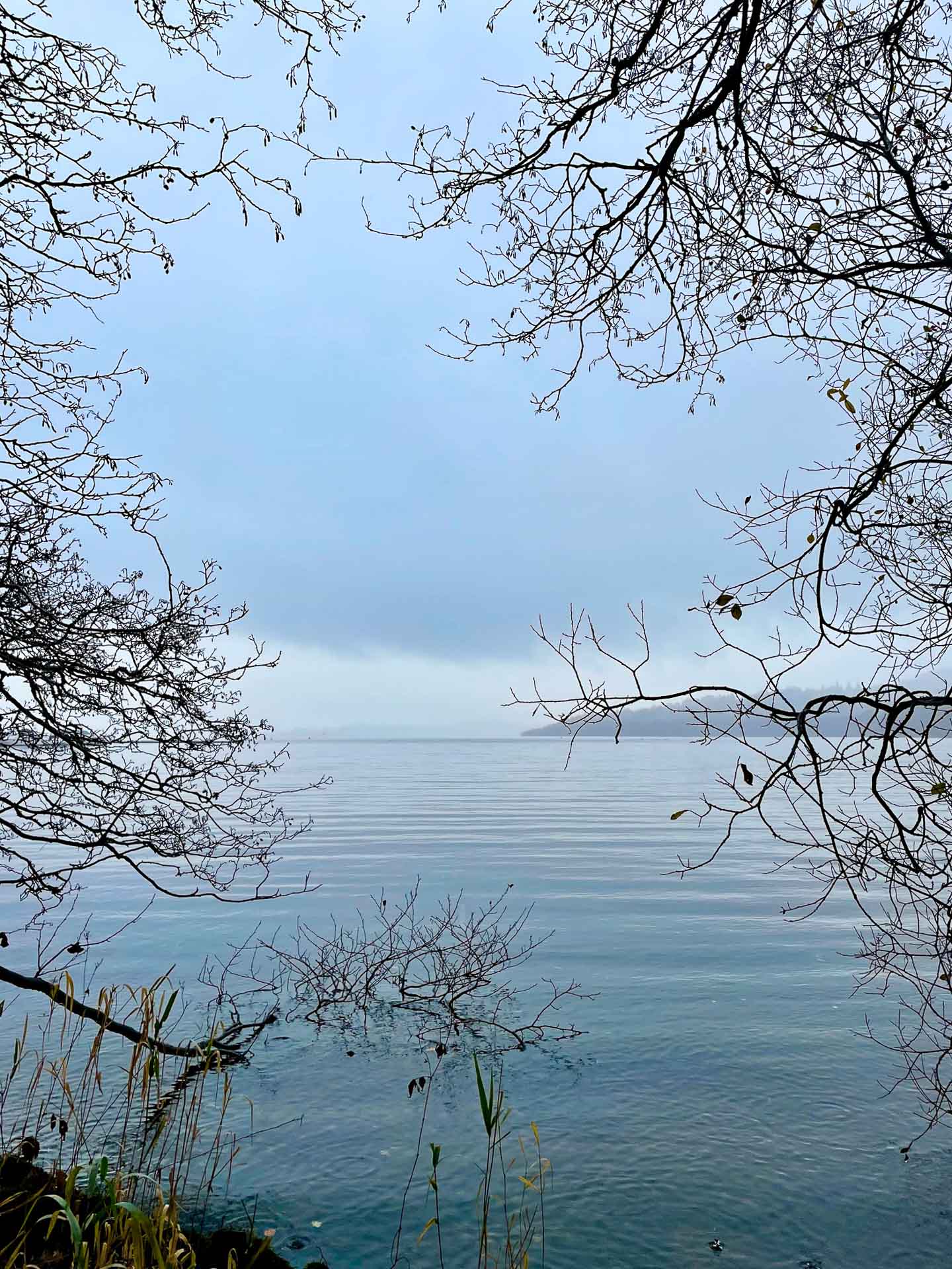 How a Loch in Scotland Taught Me to Travel With Heart, Photo by AJ D'Costa, international, scotland, loch lomond through the bare trees