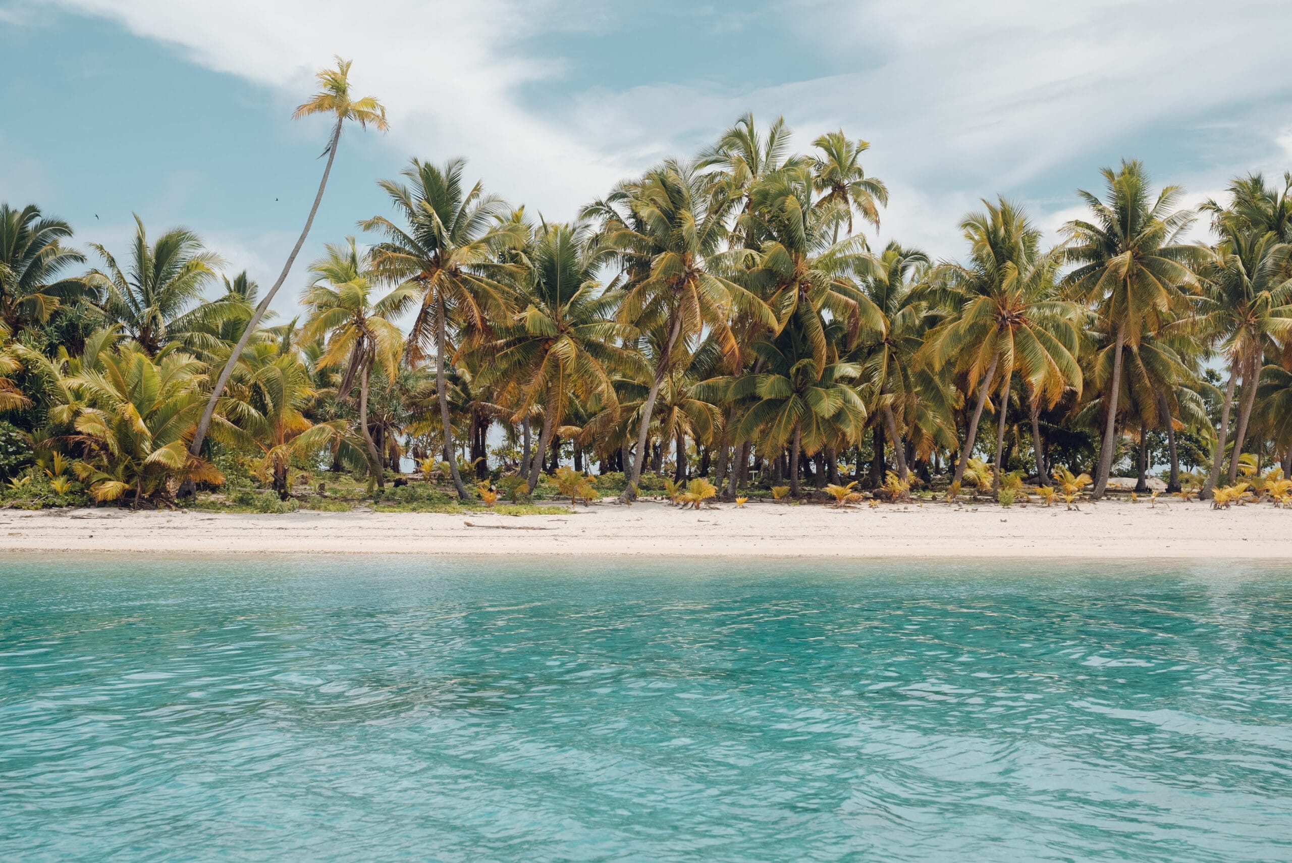 Enjoy swaying palm trees and fresh coconuts on island time | Photo Supplied by Isabella Borriello