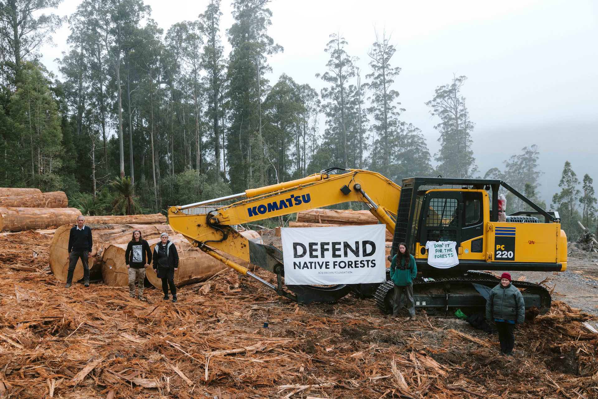 Bob Brown Has Been Arrested While Defending Swift Parrot Habitat, photo by Bob Brown Foundation, logging, protest