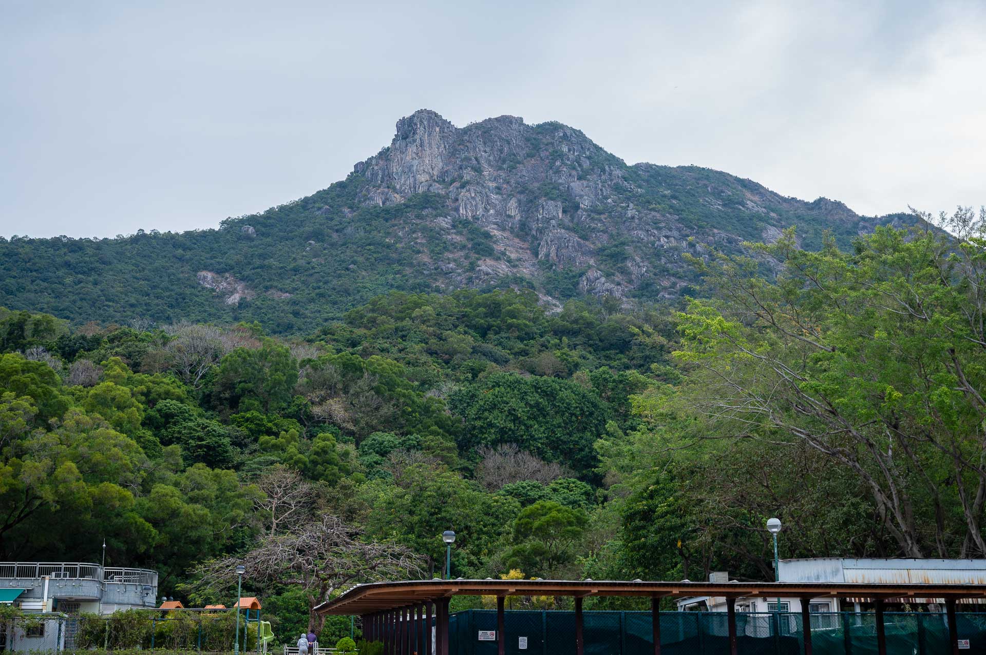 Mountains, Islands, and Deserted Beaches: Travel Hong Kong Like an Explorer , Photo by Cam Bostock, hong kong, international, travel guide, lion rock