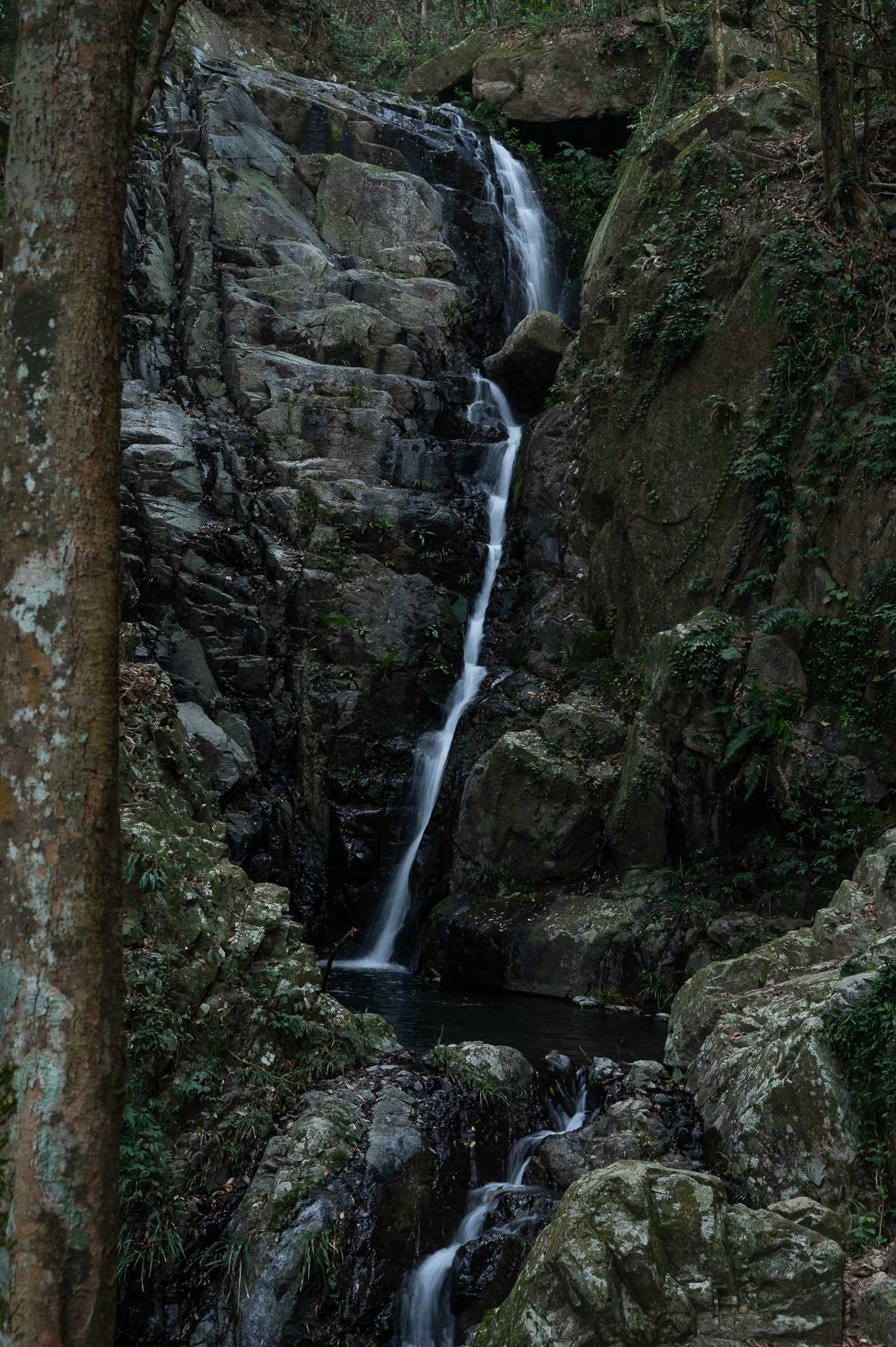 The Side of Hong Kong I Never Knew Existed, Photo by Cam Bostock, international, hong kong, sponsored, tai mo shan + ng tung chai waterfall