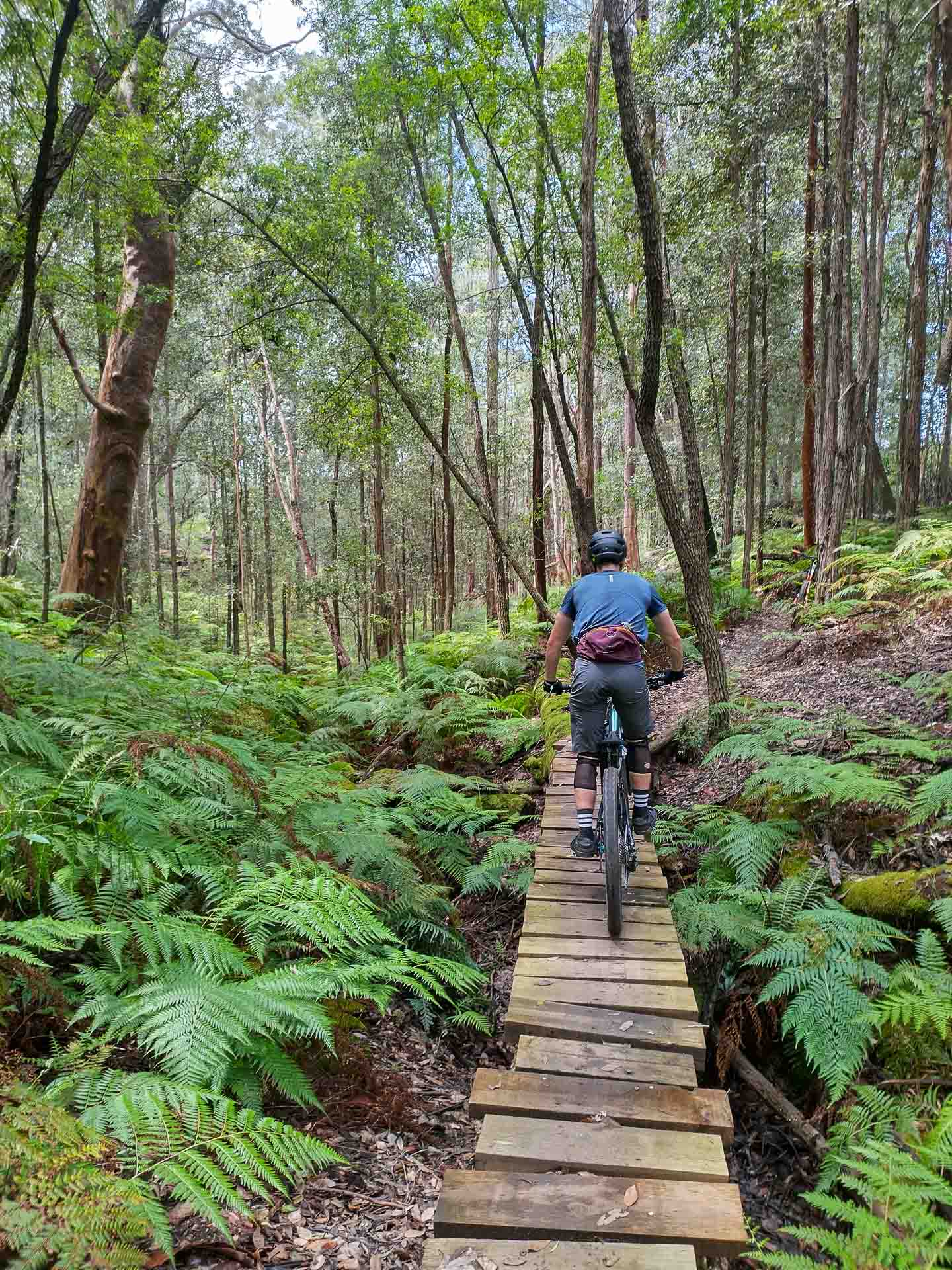 osprey mountain bike packs, mike ashelford, blue mountains, bike, riding, ferns, bum bag, boardwalk