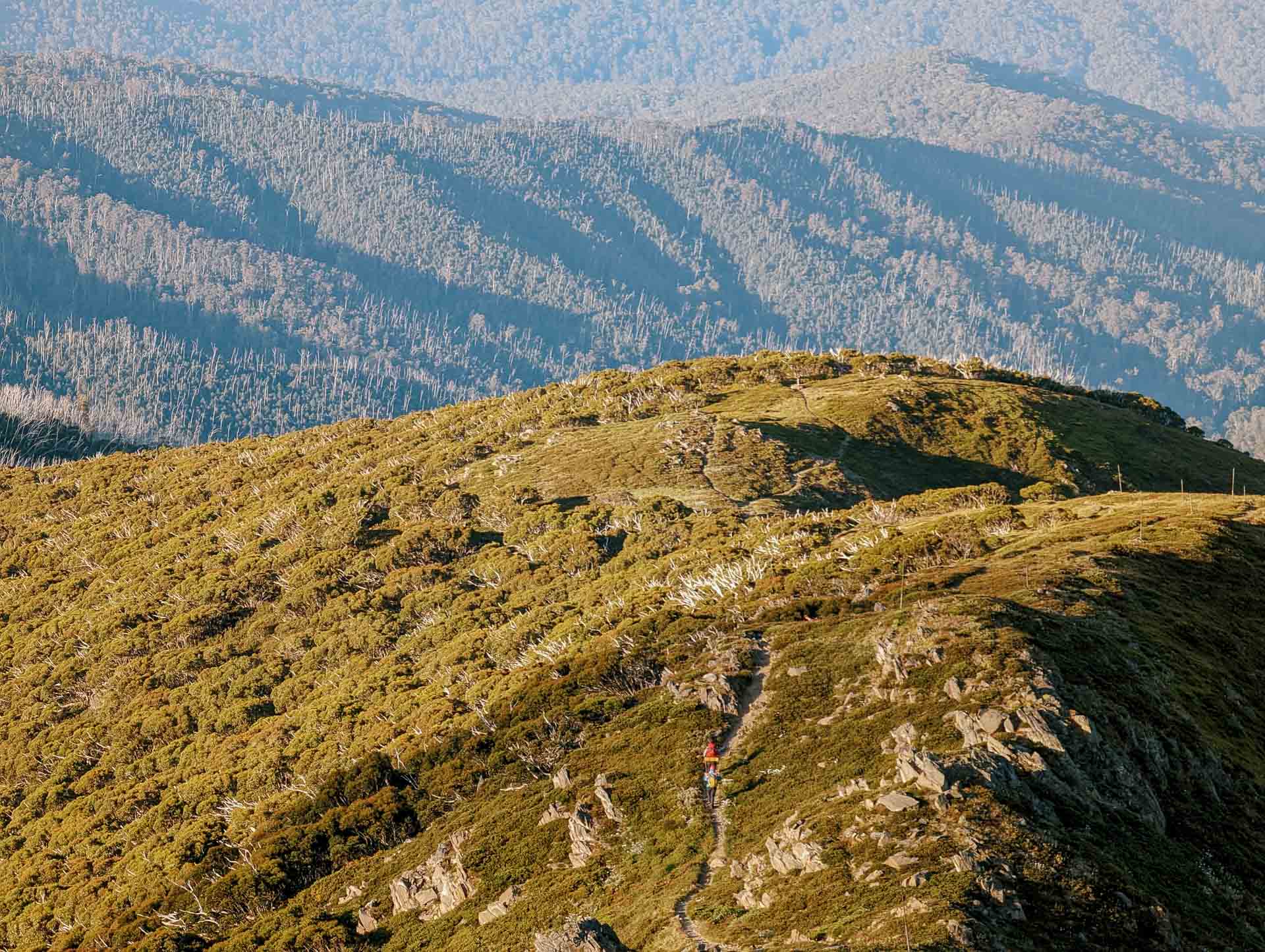 The Bogong Traverse – 5 Totally Maxed-Out Days Through the Heart of the Victorian Alps, Photo by Taylor Bell, victorian alps, victoria hikes, victorian high country, multi-day hikes