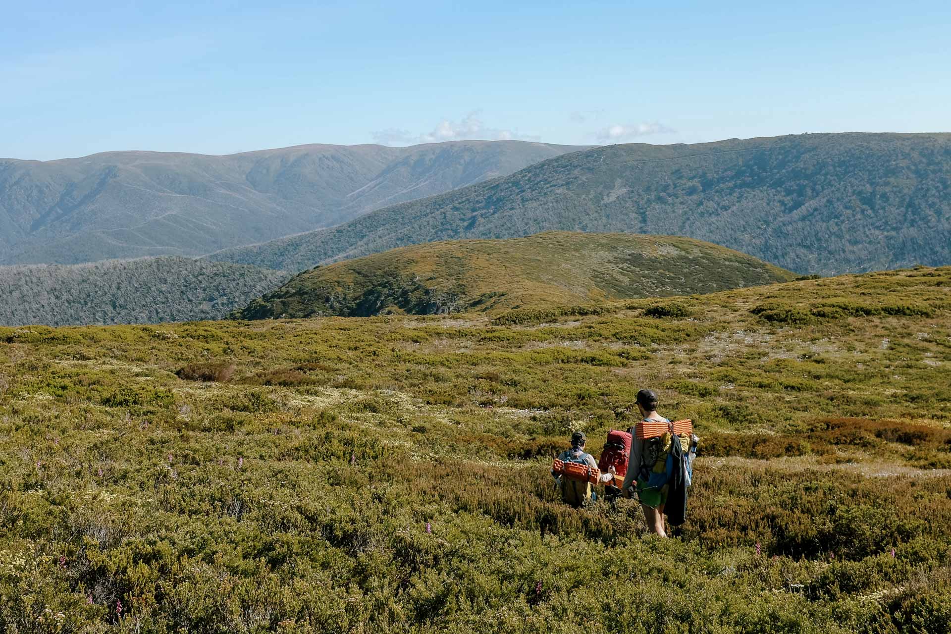 The Bogong Traverse – 5 Totally Maxed-Out Days Through the Heart of the Victorian Alps, Photo by Taylor Bell, victorian alps, victoria hikes, victorian high country, multi-day hikes