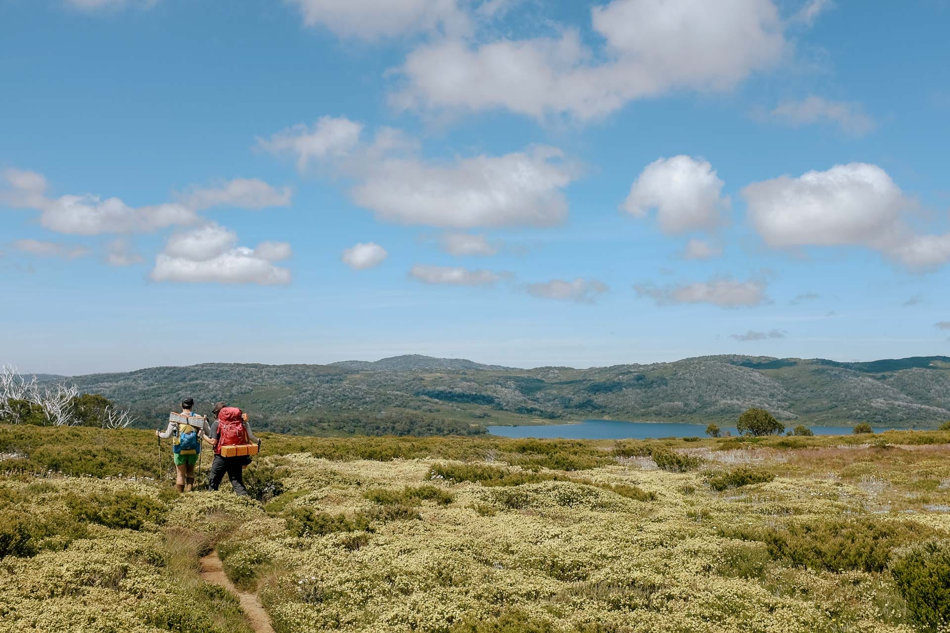 The Bogong Traverse – 5 Totally Maxed-Out Days Through the Heart of the Victorian Alps, Photo by Taylor Bell, victorian alps, victoria hikes, victorian high country, multi-day hikes