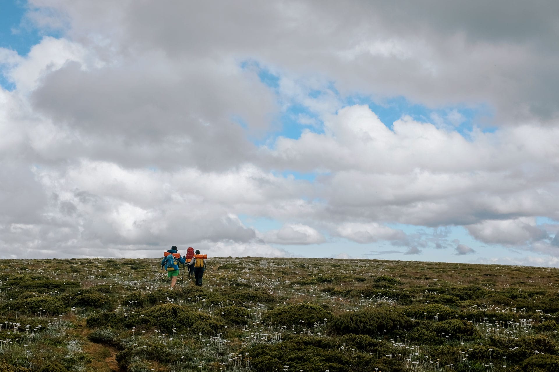 The Bogong Traverse – 5 Totally Maxed-Out Days Through the Heart of the Victorian Alps, Photo by Taylor Bell, victorian alps, victoria hikes, victorian high country, multi-day hikes