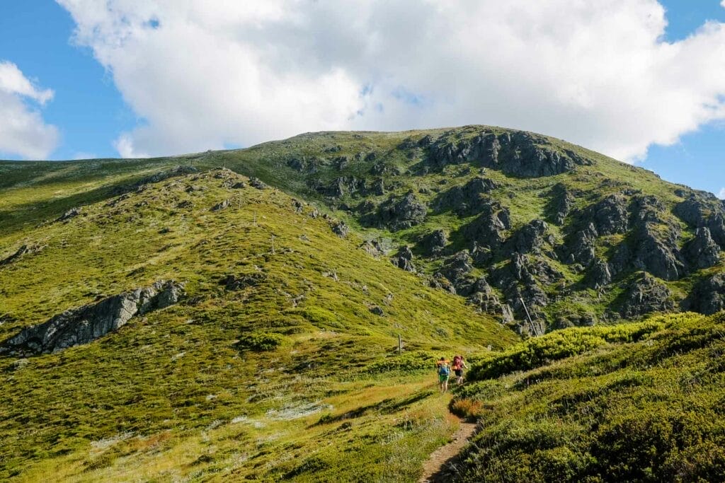 The Bogong Traverse – 5 Totally Maxed-Out Days Through the Heart of the Victorian Alps, Photo by Taylor Bell, victorian alps, victoria hikes, victorian high country, multi-day hikes