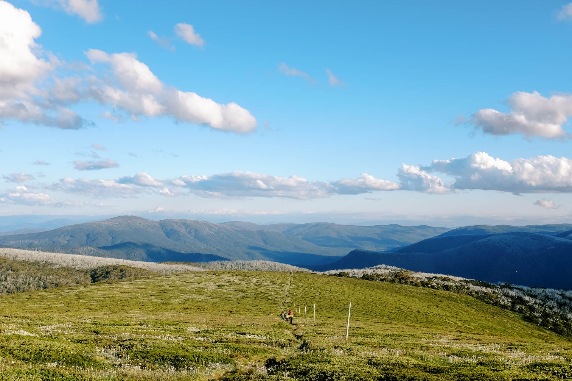 The Bogong Traverse – 5 Totally Maxed-Out Days Through the Heart of the Victorian Alps, Photo by Taylor Bell, victorian alps, victoria hikes, victorian high country, multi-day hikes