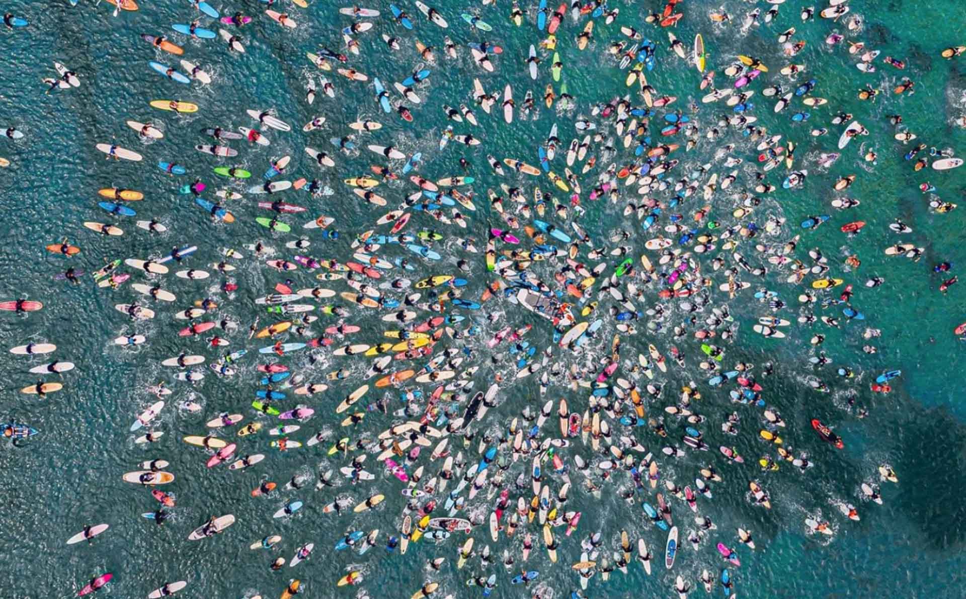 Surfrider Foundation Australia, events