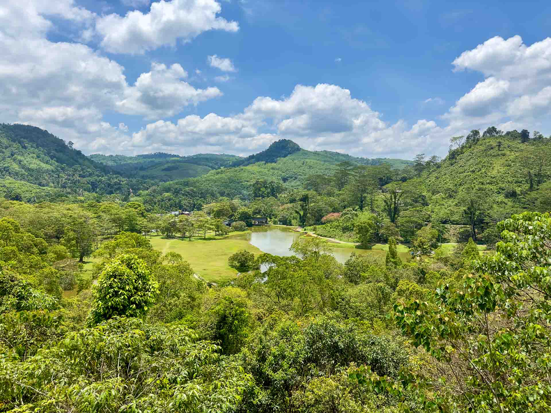 7 Ways To Unleash Your Adventurous Side in Sri Lanka, Photo by Julia D'Orazio, international, south asia, royal botanic gardens peradeniya