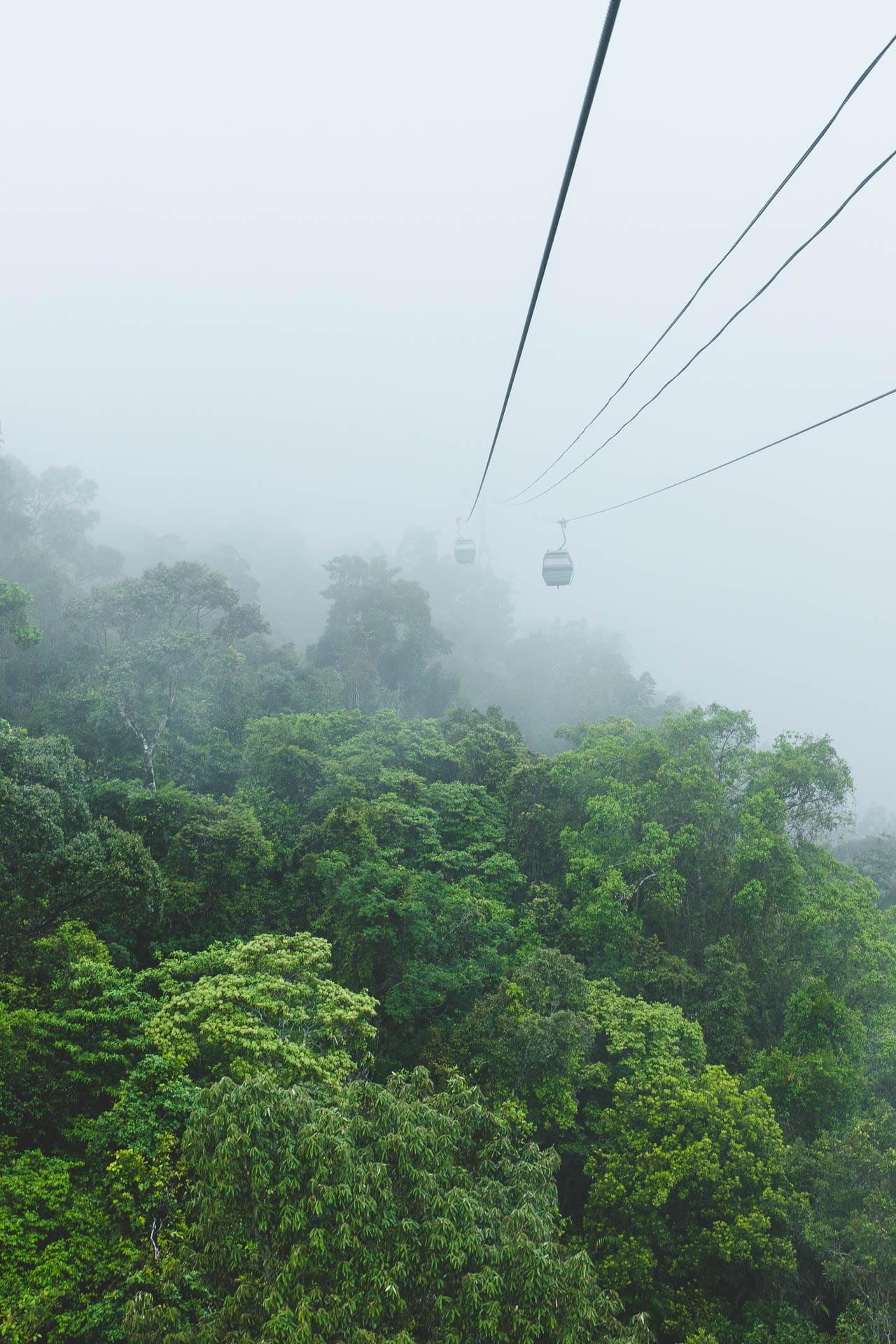 What It's Like to Compete in an MTB Event (& Why You Should Enter the UCI Masters MTB Championships in Cairns), Photo from TTNQ, Skyrail Rainforest Cableway gondolas gliding over rainforest in mist